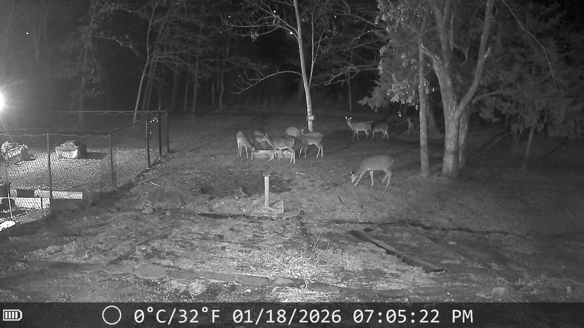 Goat Feeder Trough 55