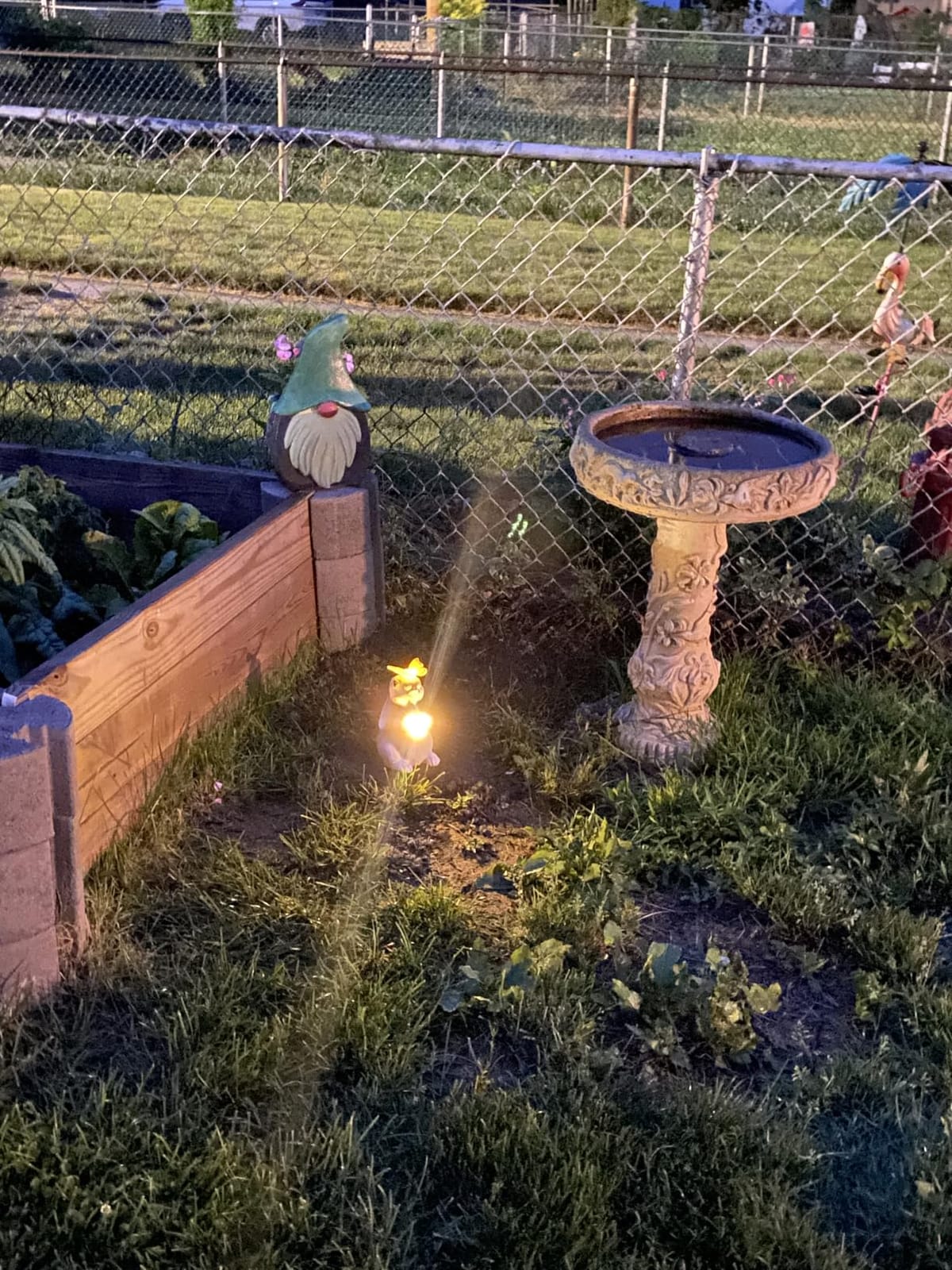 YODY Solar Garden Statues Outdoor Decor Bunny with Butterfly | Yard Decorations for Patio, Balcony, Backyard, Lawn Ornaments, Unique Gifts for Women, Mom, Grandma customer photo 2