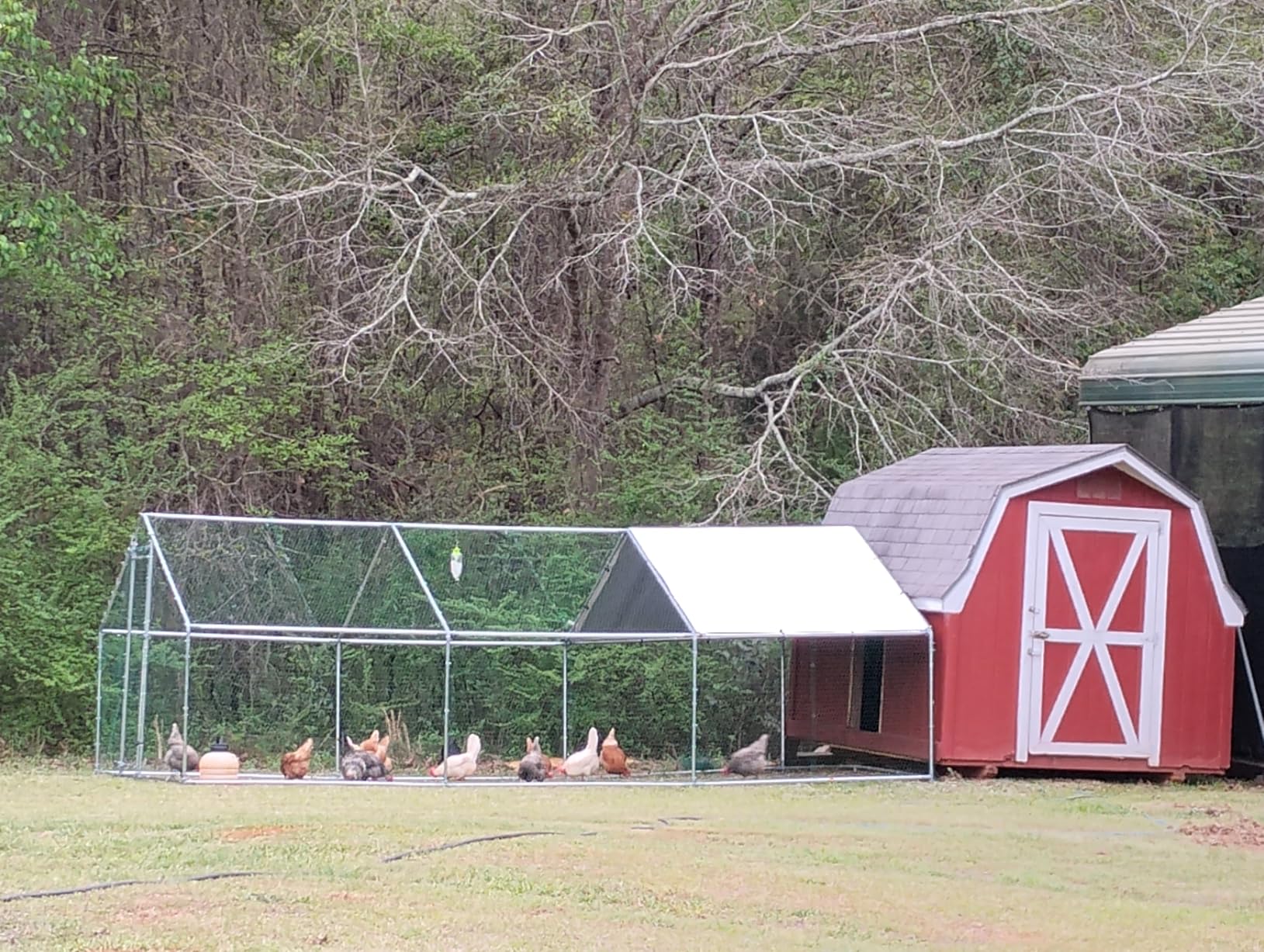 VEVOR Large Metal Chicken Coop, 9.8x13.1x6.5 ft Large Walk in Chicken Runs for Yard with Cover, Hen House Enclosure with Security Lock, Outdoor Duck Rabbit Cage Poultry Pen for Backyard, Farm, Yard customer photo 1