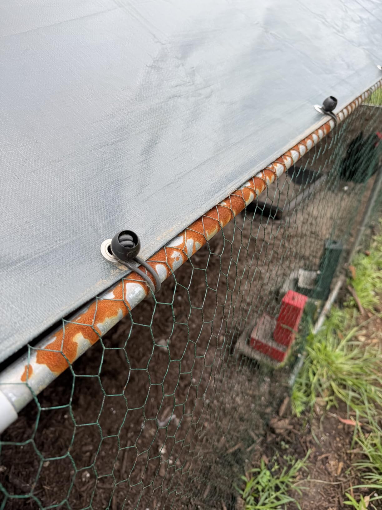 VEVOR Large Metal Chicken Coop, 9.8x13.1x6.5 ft Large Walk in Chicken Runs for Yard with Cover, Hen House Enclosure with Security Lock, Outdoor Duck Rabbit Cage Poultry Pen for Backyard, Farm, Yard customer photo 2