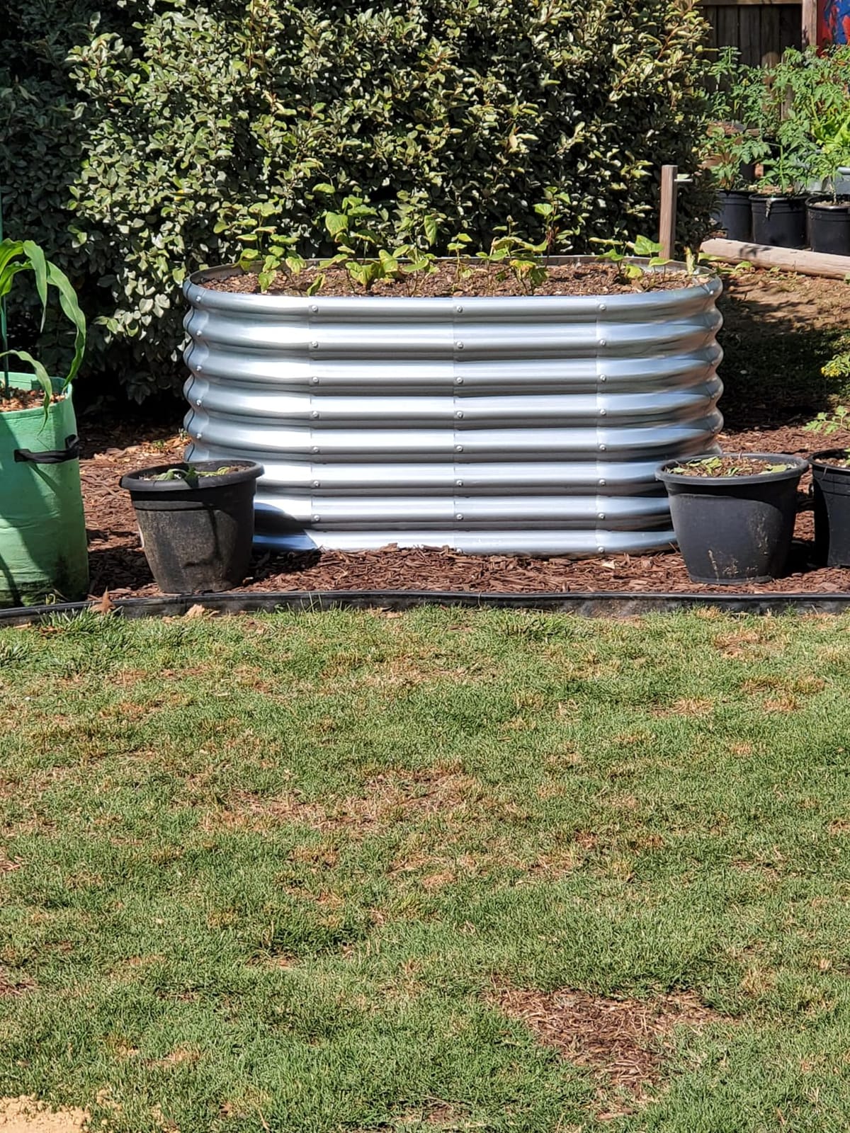 Land Guard Galvanized Raised Garden Bed, 8x4x2ft Planter Boxes Outdoor, Oval Larger Metal Planter Boxes for Vegetables, Fruits, Flowers (Silver) customer photo 1