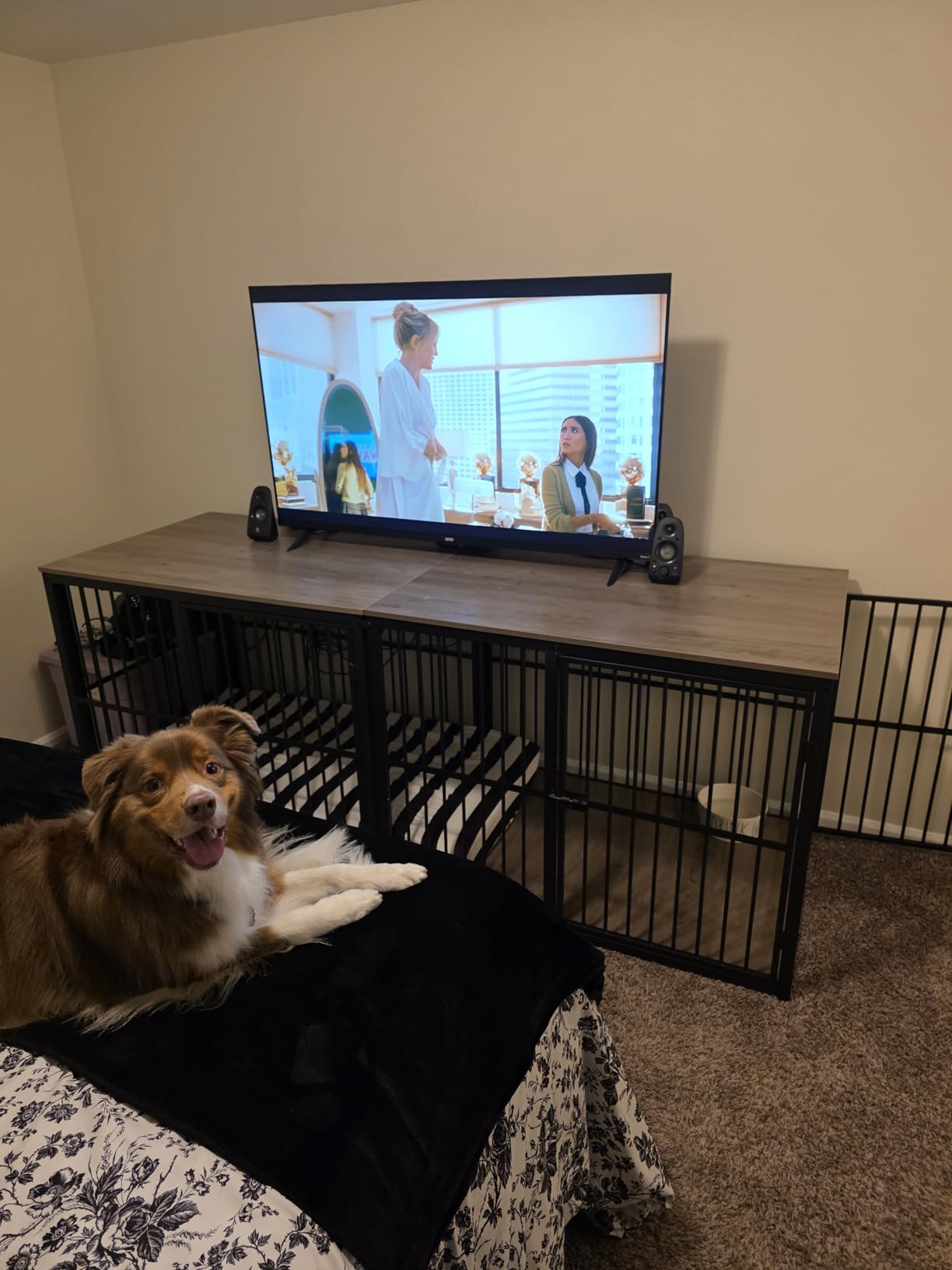 Lyromix 48'' XXL Dog Crate Furniture with 3 Doors,Wooden Crate End Table Heavy Duty Indoor Combination Cage for Medium to Large Dogs, Multiple Units Can be Combined customer photo 1