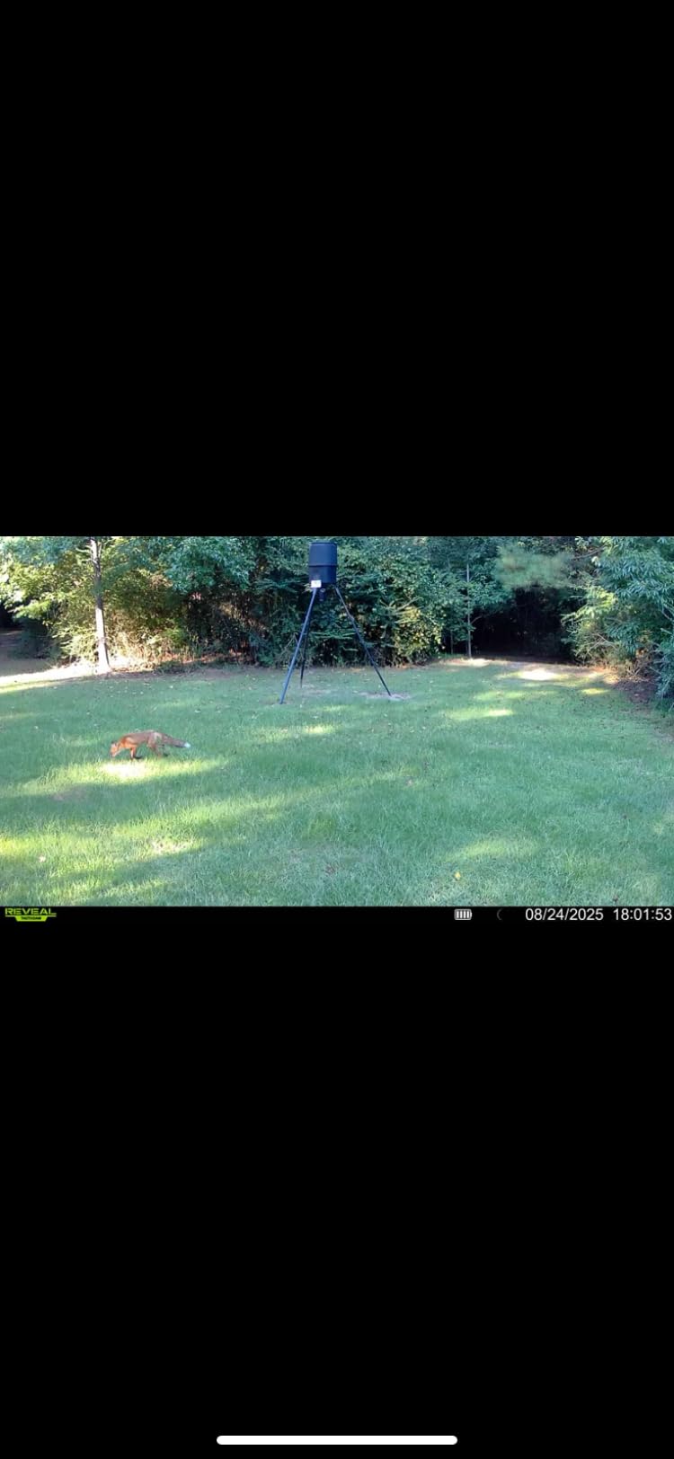 TACTACAM Reveal X 3.0 Cellular Trail Camera, Night Vision, Waterproof | 4K photo, 1080p video; auto-connect multi-carrier LTE; no SD card needed; 6+ month battery life; IP66 rated customer photo 1