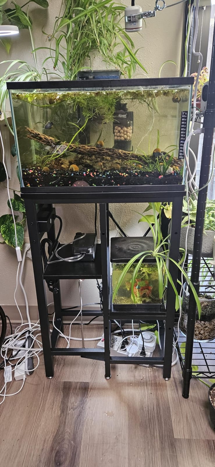 Bestier 55-75 Gallon Fish Tank Stand with Power Outlet, Rustic Brown, 49x13 | 6-Leg Steel Frame, 3-Tier Adjustable Shelves for Filters Storage, 700Lbs Capacity, 5-In-1 Power Outlet, 4 Leveling Feet customer photo 1