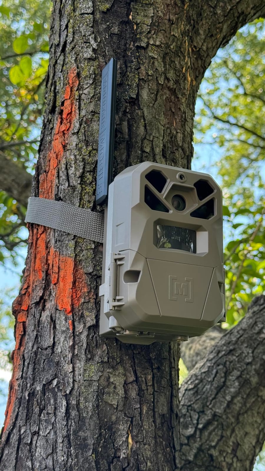Moultrie Edge 2 Pro Cellular Trail Camera - Auto Connect Nationwide 4G LTE - On Demand 40MP Photo - 1440P Video with HD Audio - Ai False Trigger Elimination - 100 Ft Detection Range - No-Glow Flash customer photo 2