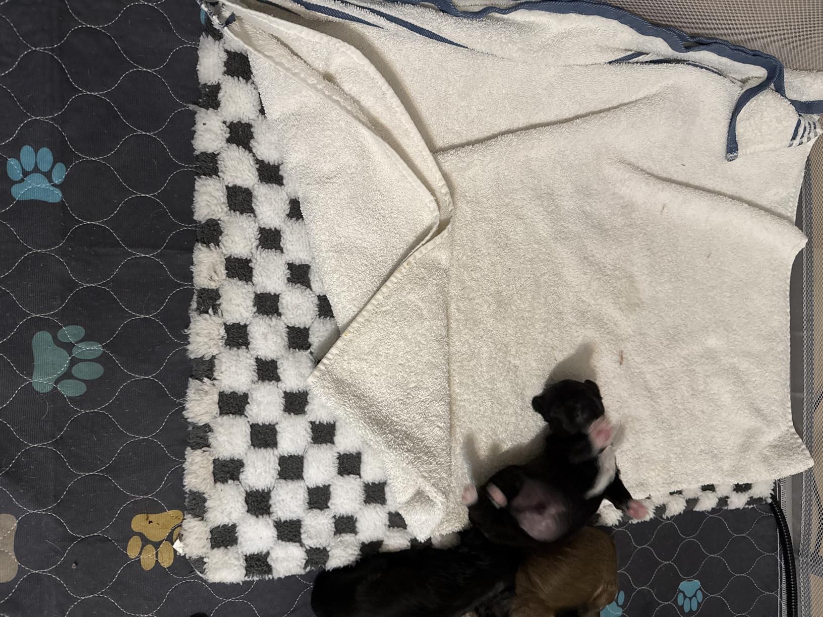 Large Dog Heating Pad 36x24 in with Smart Thermostat Switch and Power Line Protection Tube, Obtained MET and UL Dual Certification, Waterproof Pet Heating Pad for Dogs, with Plush Fabric Cover customer photo 1
