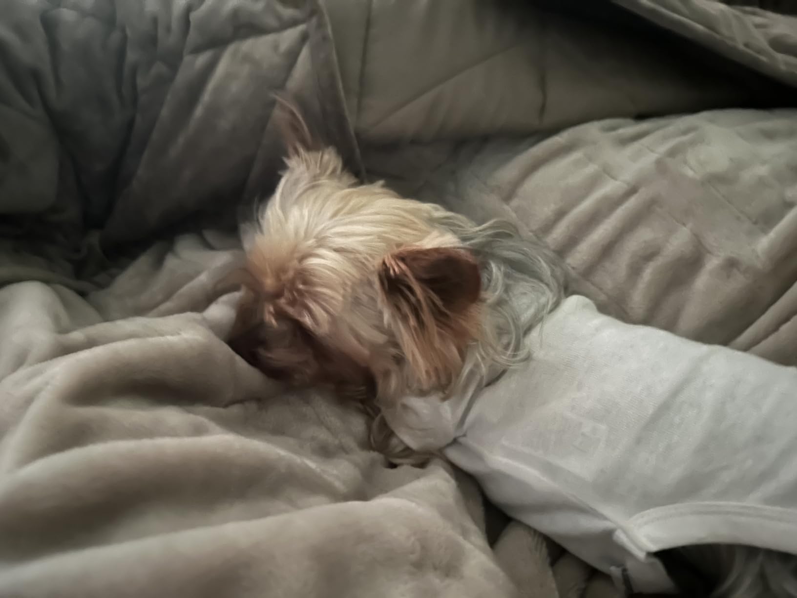 Tefici Heated Blanket Full Size, Ultra Soft Flannel Sherpa Electric Blanket customer photo 1