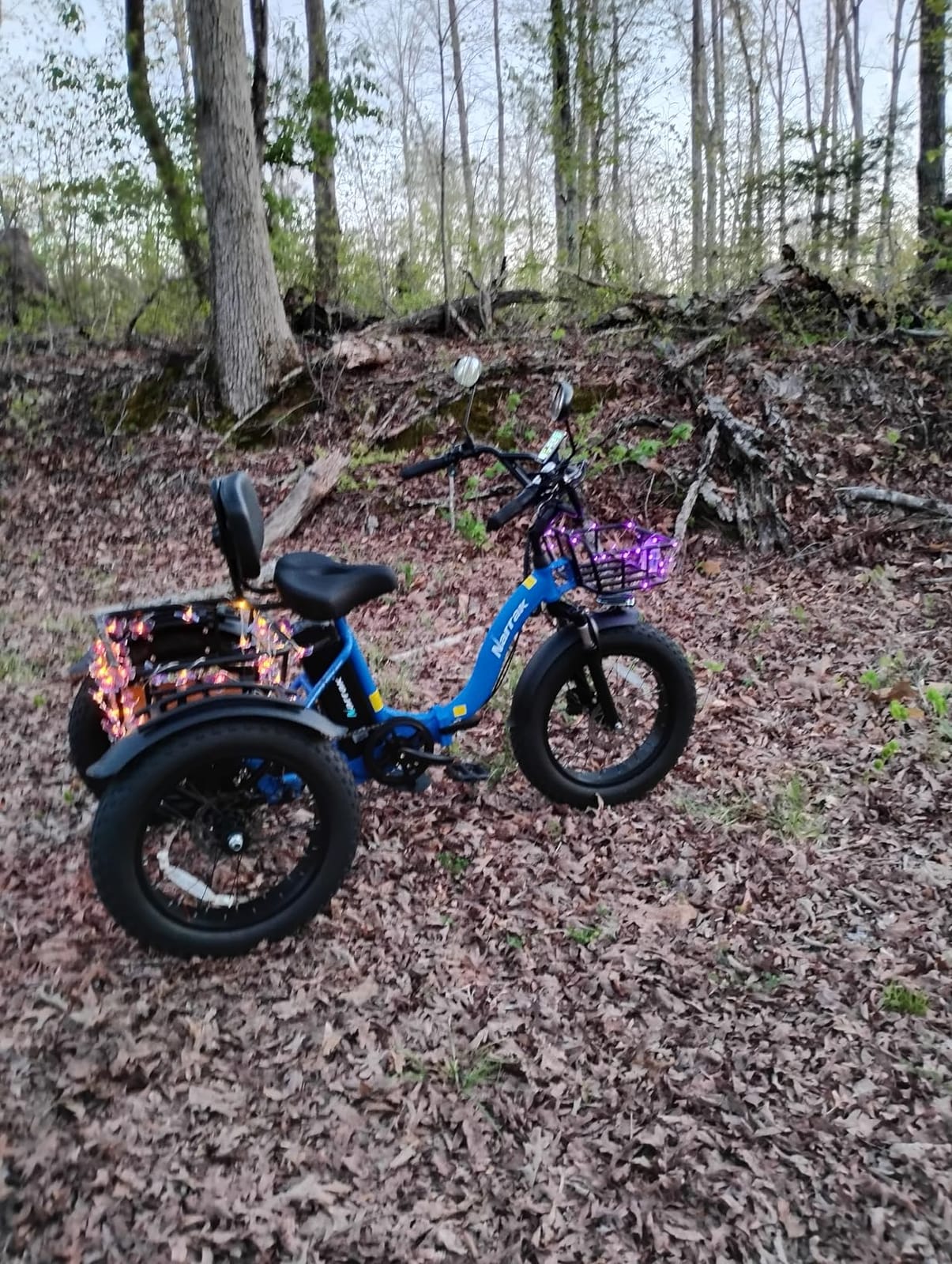 NARRAK Electric Tricycle for Adults, 750W, 48V13Ah, 20