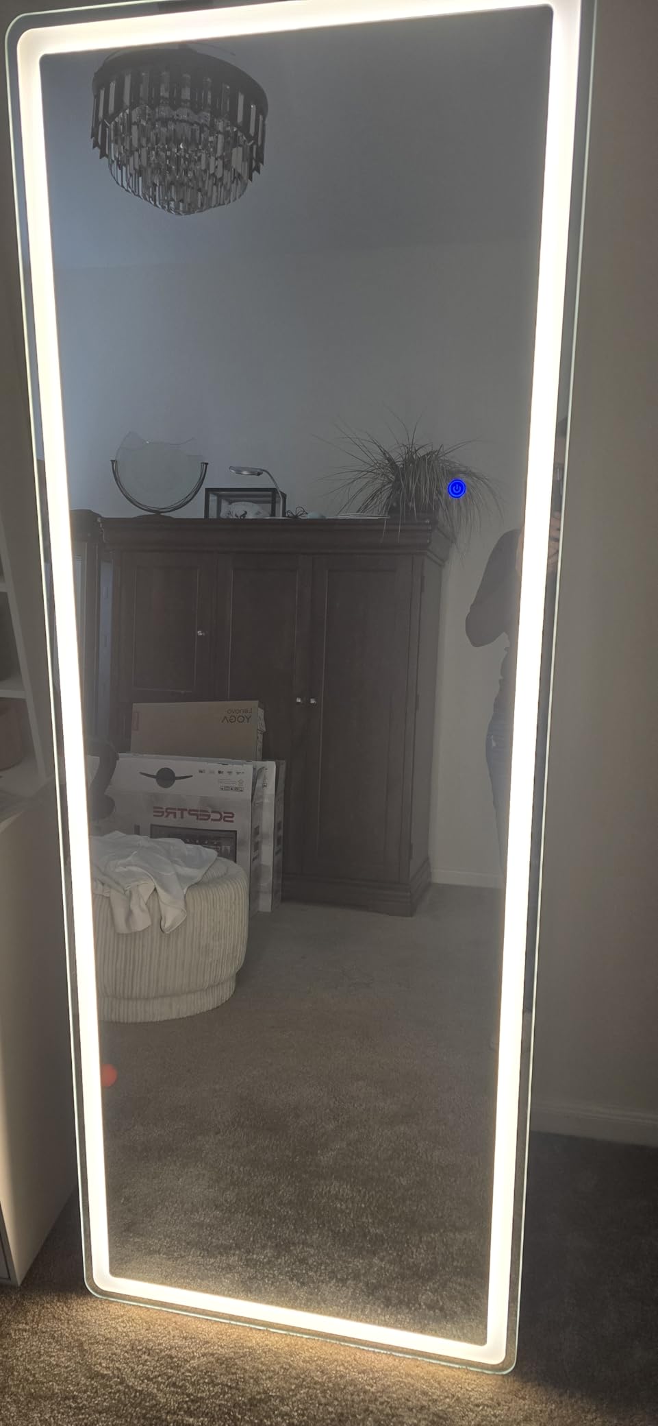 Easly 26x68 inch Full Length Mirror with Lights, LED Lighted Floor Standing, Hanging Mirror Full Length with Stand Free, Full Body Dressing Mirrors with Dimmable 3 Color LED customer photo 1