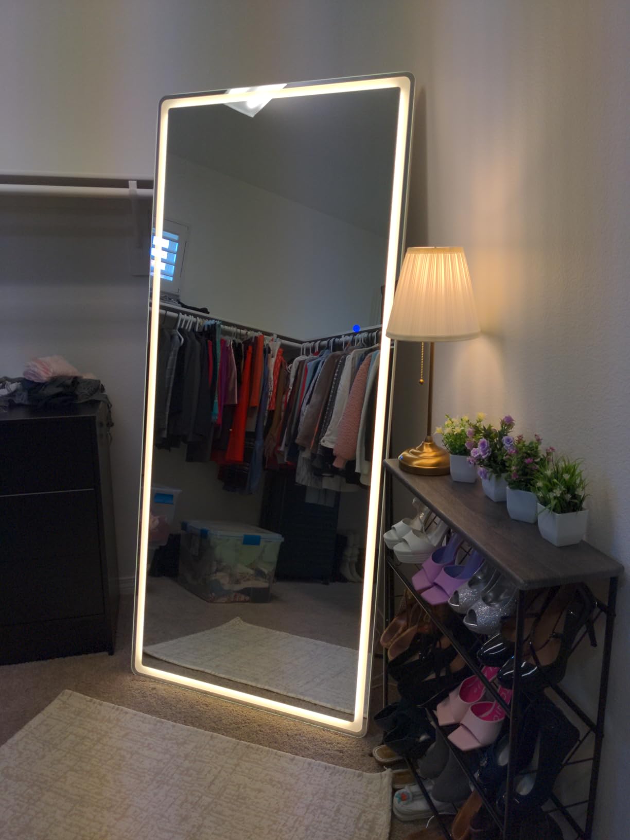 Easly 26x68 inch Full Length Mirror with Lights, LED Lighted Floor Standing, Hanging Mirror Full Length with Stand Free, Full Body Dressing Mirrors with Dimmable 3 Color LED customer photo 2