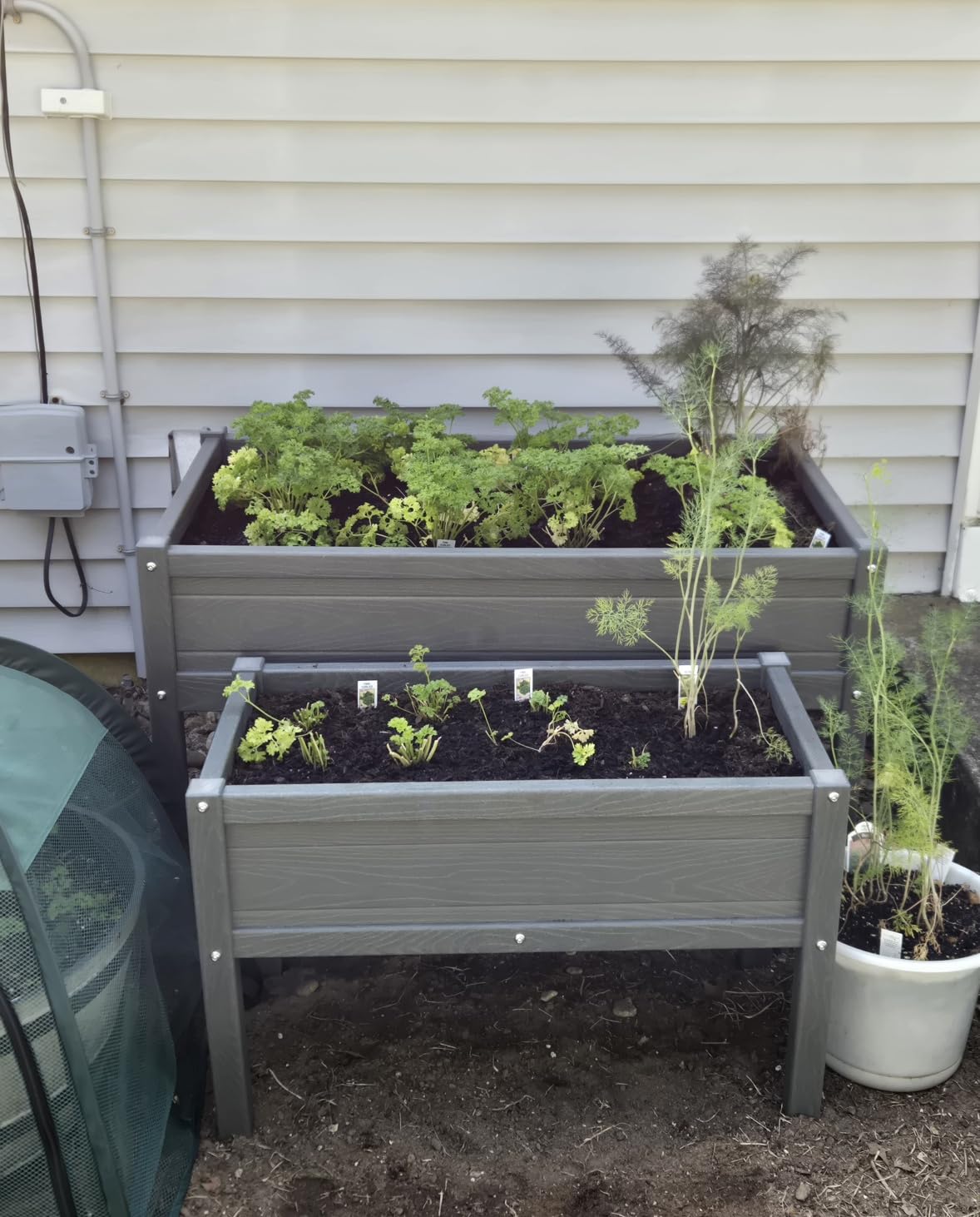 Small HDPE Raised Garden Bed, Elevated Planter Box with Legs, Outdoor All-Weather Planter Raised Beds for Seeds, Herbs, Flowers, Vegetables (Navy Blue) customer photo 2
