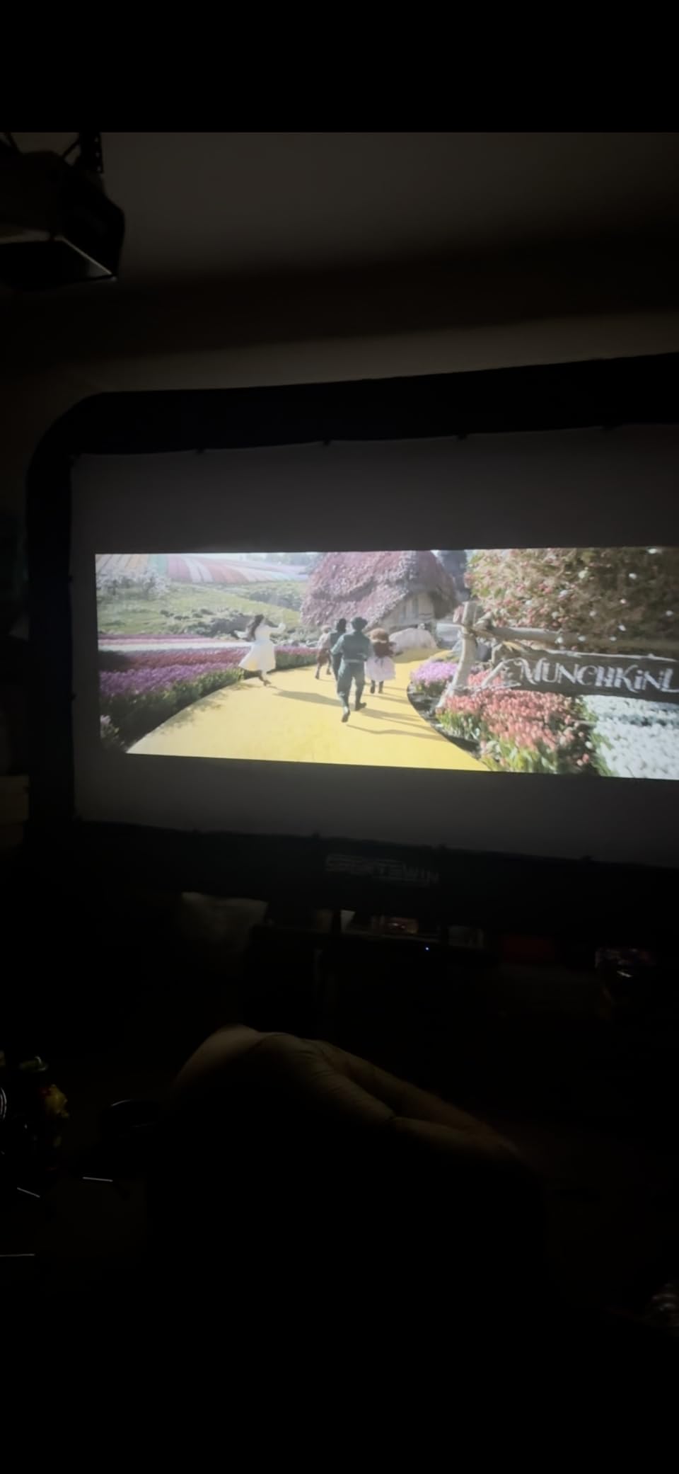 14 FT Inflatable Outdoor Movie Screen, Blow Up Projector Screen Outdoor with Air Blower, Movie Screens for Backyard with One Piece Design, Front & Rear Projection, Easy Set Up customer photo 2