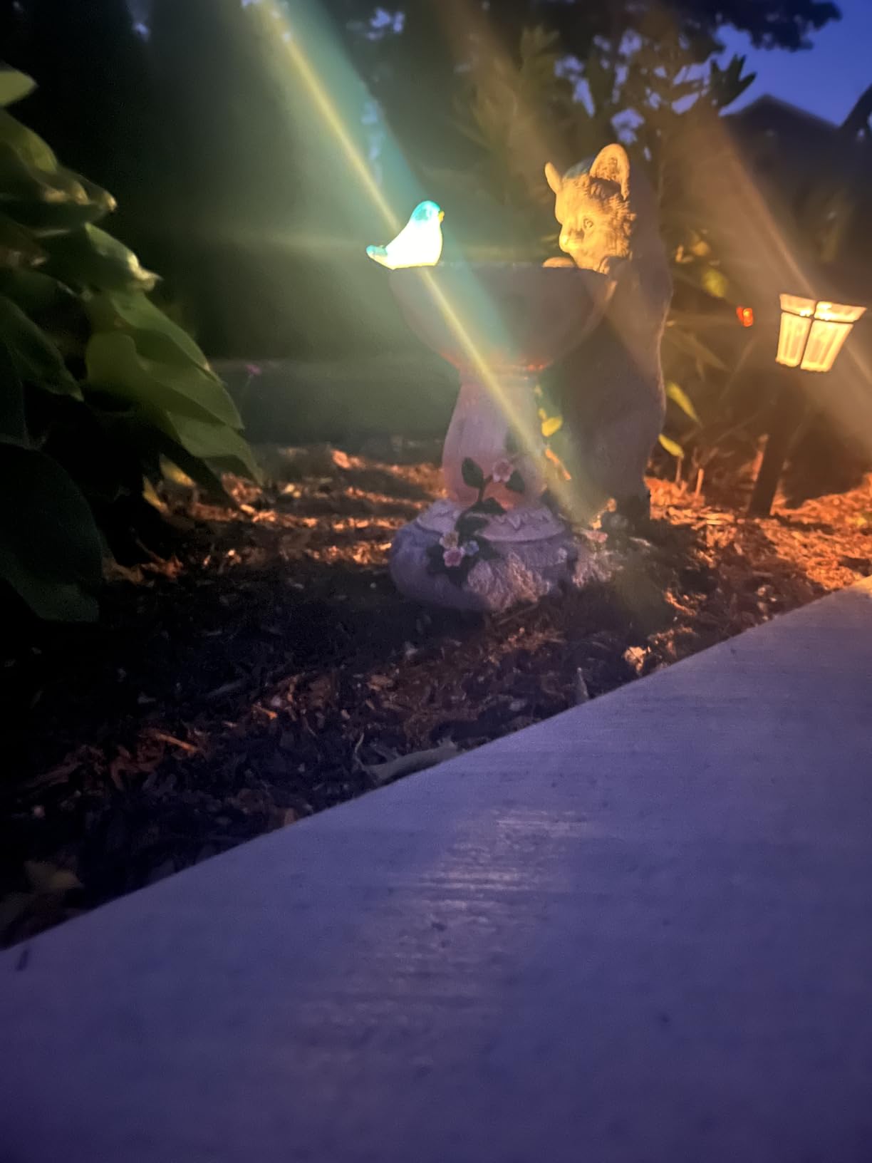 Nacome Solar Cat Statues for Garden Decor: IP65 Waterproof Resin | Outdoor Yard Patio Balcony Front Decorations, Birthday Gifts for Bird Lovers Mom Grandma Women, Automatic Warm LED Light customer photo 2