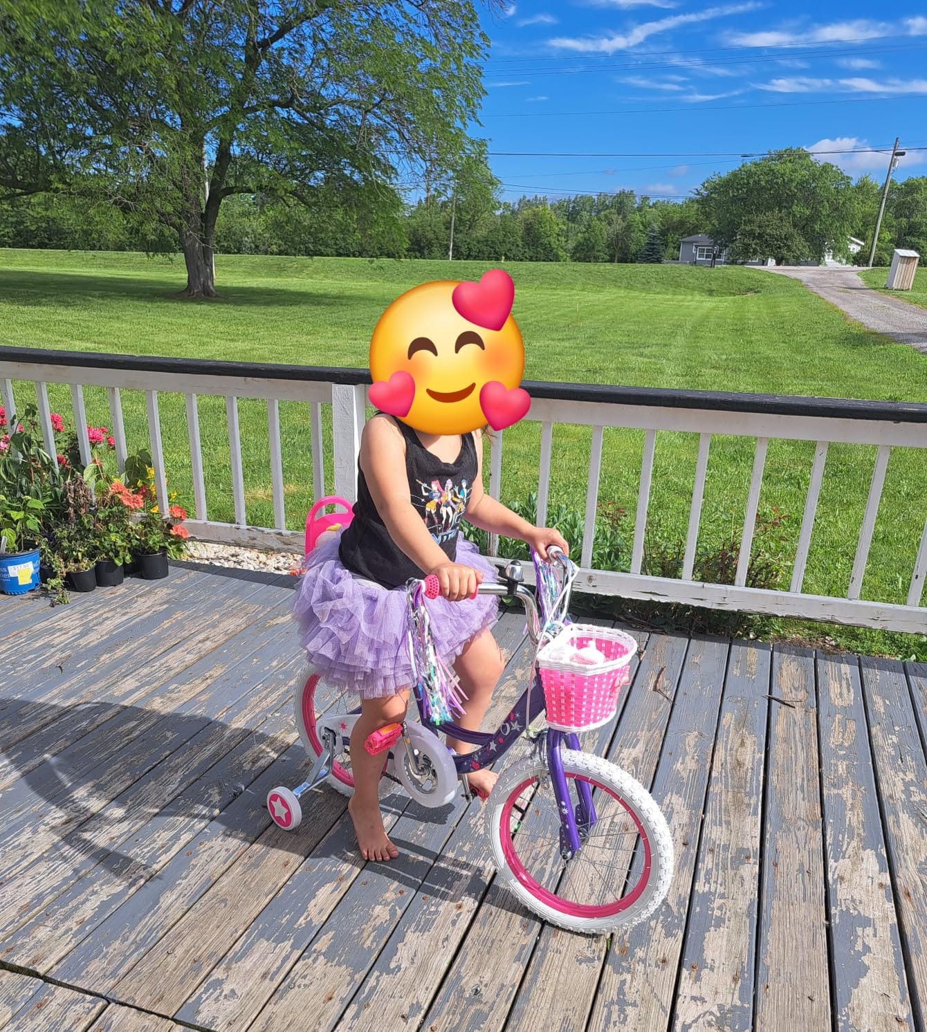 WEIZE Girls Kids Bike 14 16 18 Inch Children Bicycles with Training Wheels customer photo 2