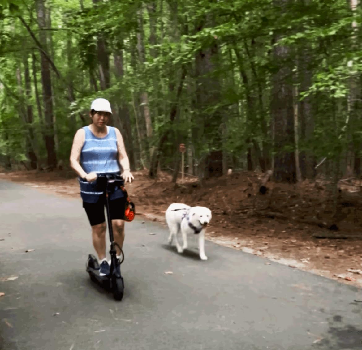 iScooter Electric Scooter Adults, 18/15/12 Miles Long Range,22/19/18 Mph Top Speed, Commuting Electric Scooter with Cruise Control, Double Braking Systems Escooter for Adults and Teens customer photo 2