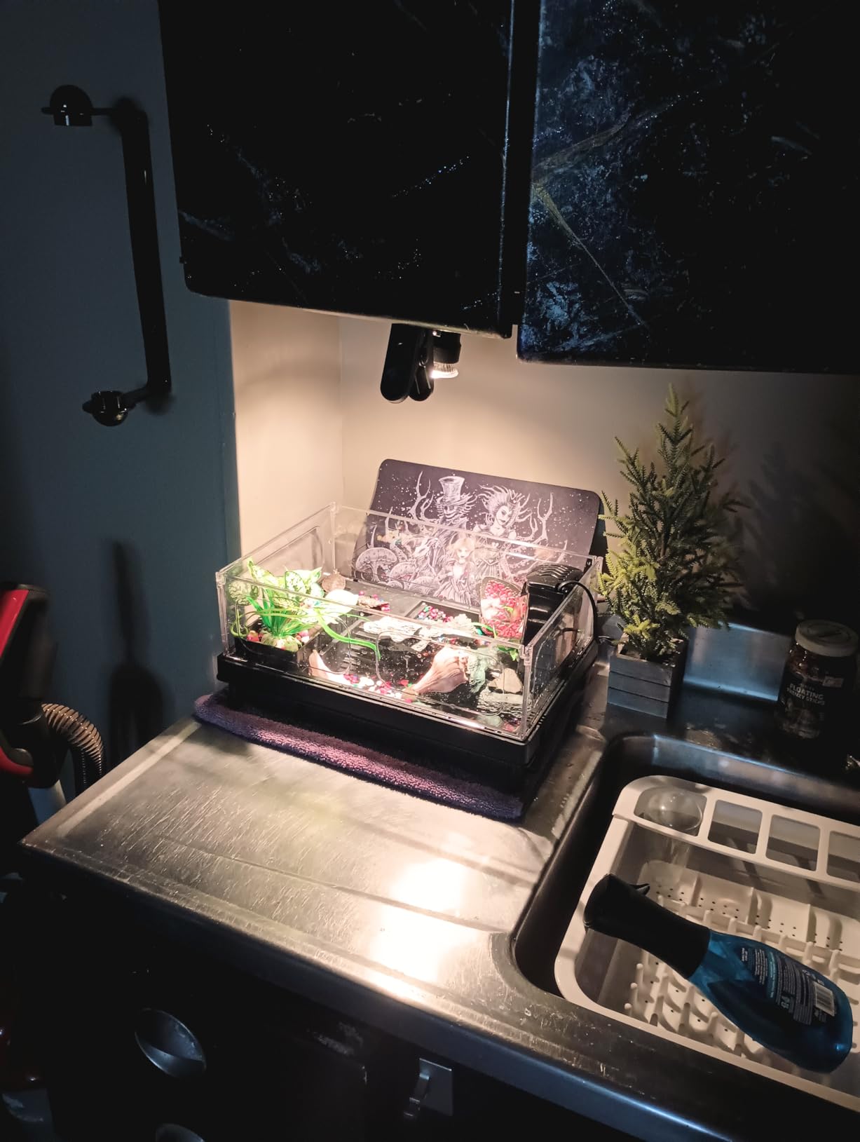 GOZILLA Small Turtle Tank Kit(Tank+Lamp+Filter), Acrylic Turtle Starter Kit with Adjustable Lamp, Reptile Habitat and Terrarium with Multi-Functional Areas for Small Reptiles. (Black Kit) customer photo 1