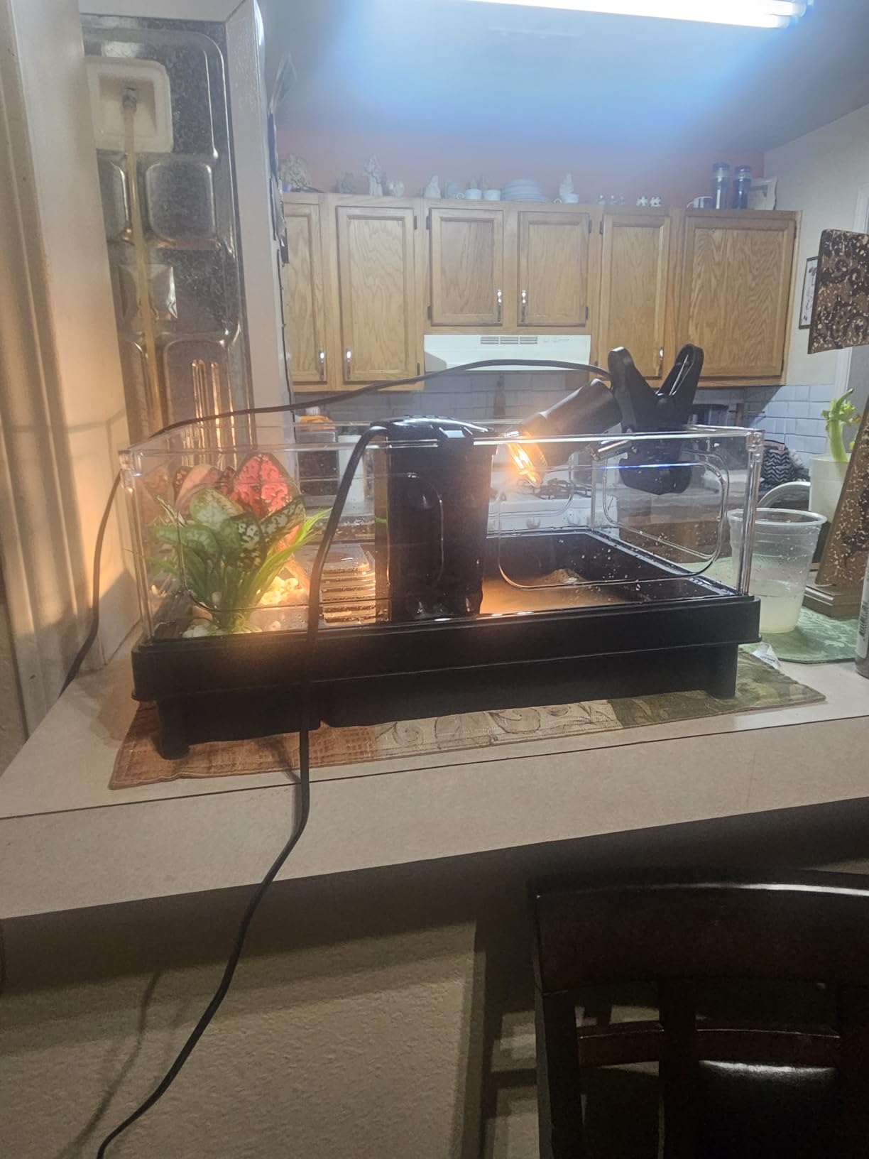 GOZILLA Small Turtle Tank Kit(Tank+Lamp+Filter), Acrylic Turtle Starter Kit with Adjustable Lamp, Reptile Habitat and Terrarium with Multi-Functional Areas for Small Reptiles. (Black Kit) customer photo 2