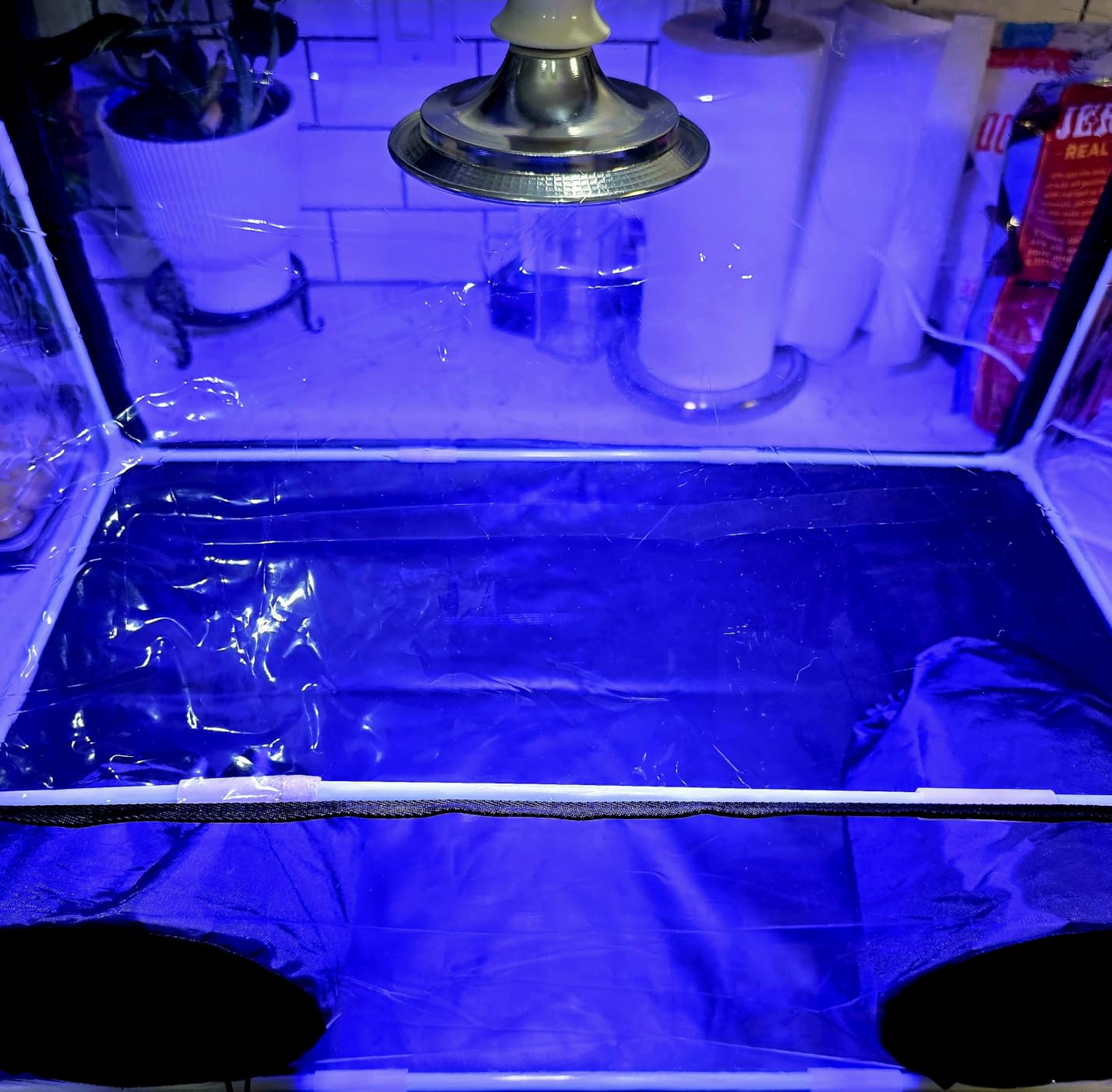Meonum Mushroom Grow Tent and LED Growing Light Kit, 30 x 20 x 20 Inch Portable Large Still Air Box, Mycology Mushroom Growing Kit, Indoor Propagation Stations with 48 LED Mushroom Grow Lamp(Black) customer photo 1