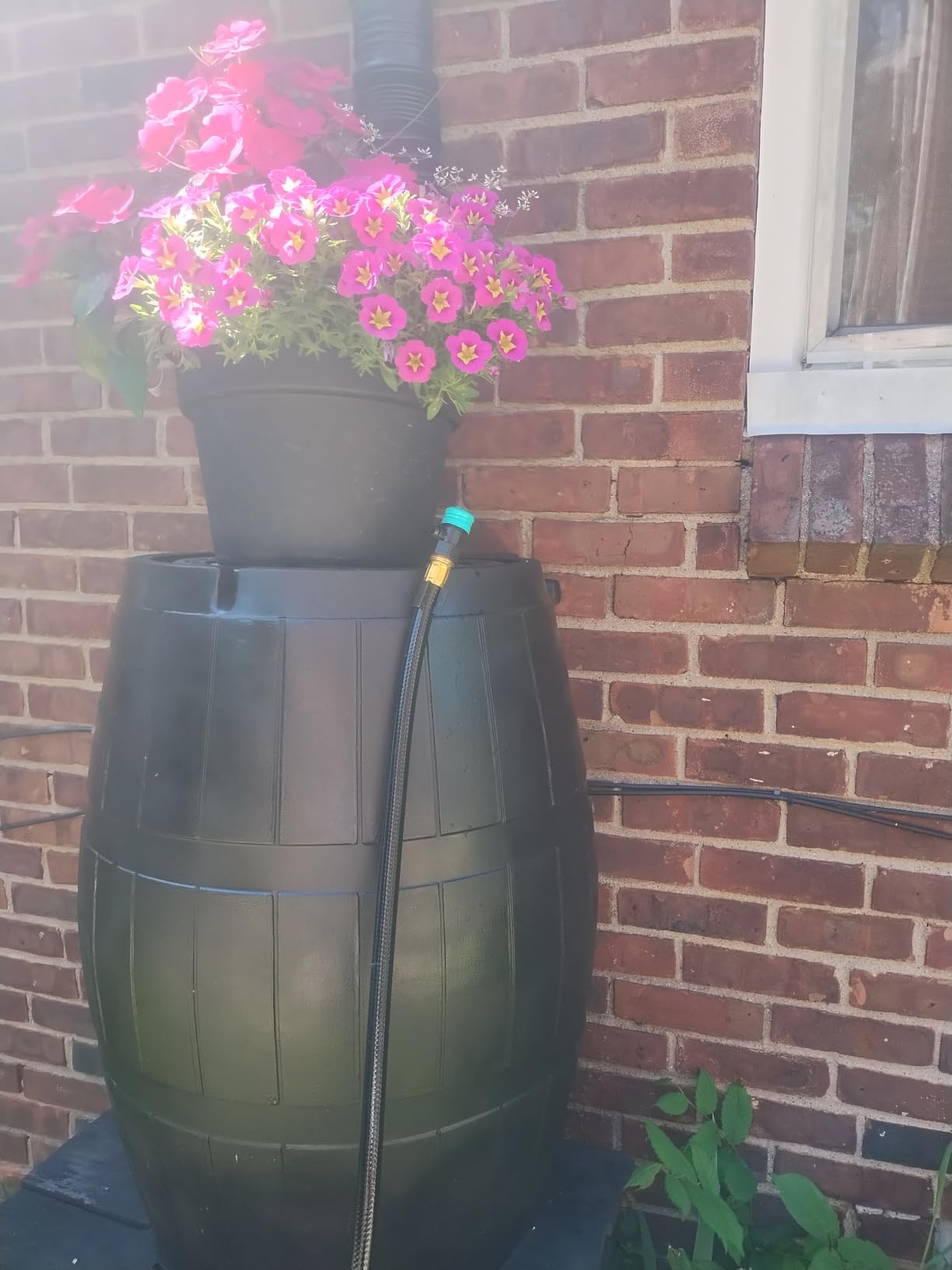 FCMP Outdoor Raincatcher 4000, Flat-Back Rain Water Barrel, 50-Gallon, Gray - Rainwater Collection Storage Container w/Side Spigots, Mesh Screen, Garden and Overflow Hose & Linking Kit customer photo 1
