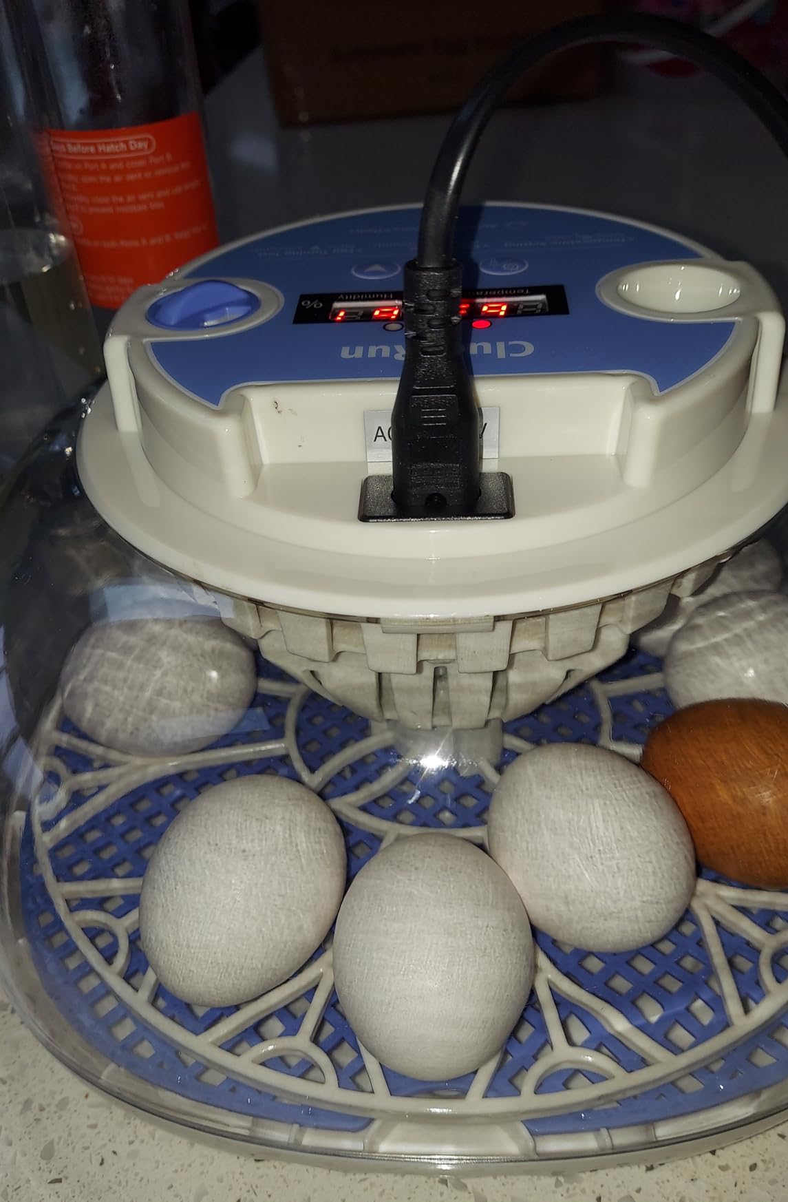 12 Egg Incubators for Hatching Eggs, Temperature and Humidity Control, Automatic Egg Turning, Egg Candler, Automatic Water Refill, for Chicken, Quail & Duck Eggs, Perfect for Home, Farm, Classroom customer photo 1