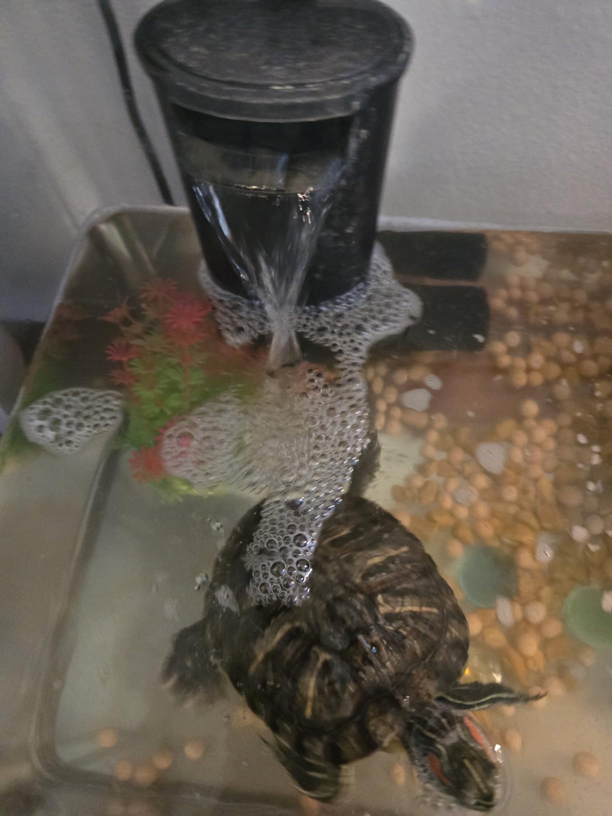 (Tank + Light + Filter + Filter Balls) Turtle Tank Kit, Turtle Tank Starter Kit, Bottom Drainage, Multi-Function Areas for Turtles, Crabs, Fishes, Amphibians, Reptiles. (15.75 x 8.64 x 8.64 Inch) customer photo 1