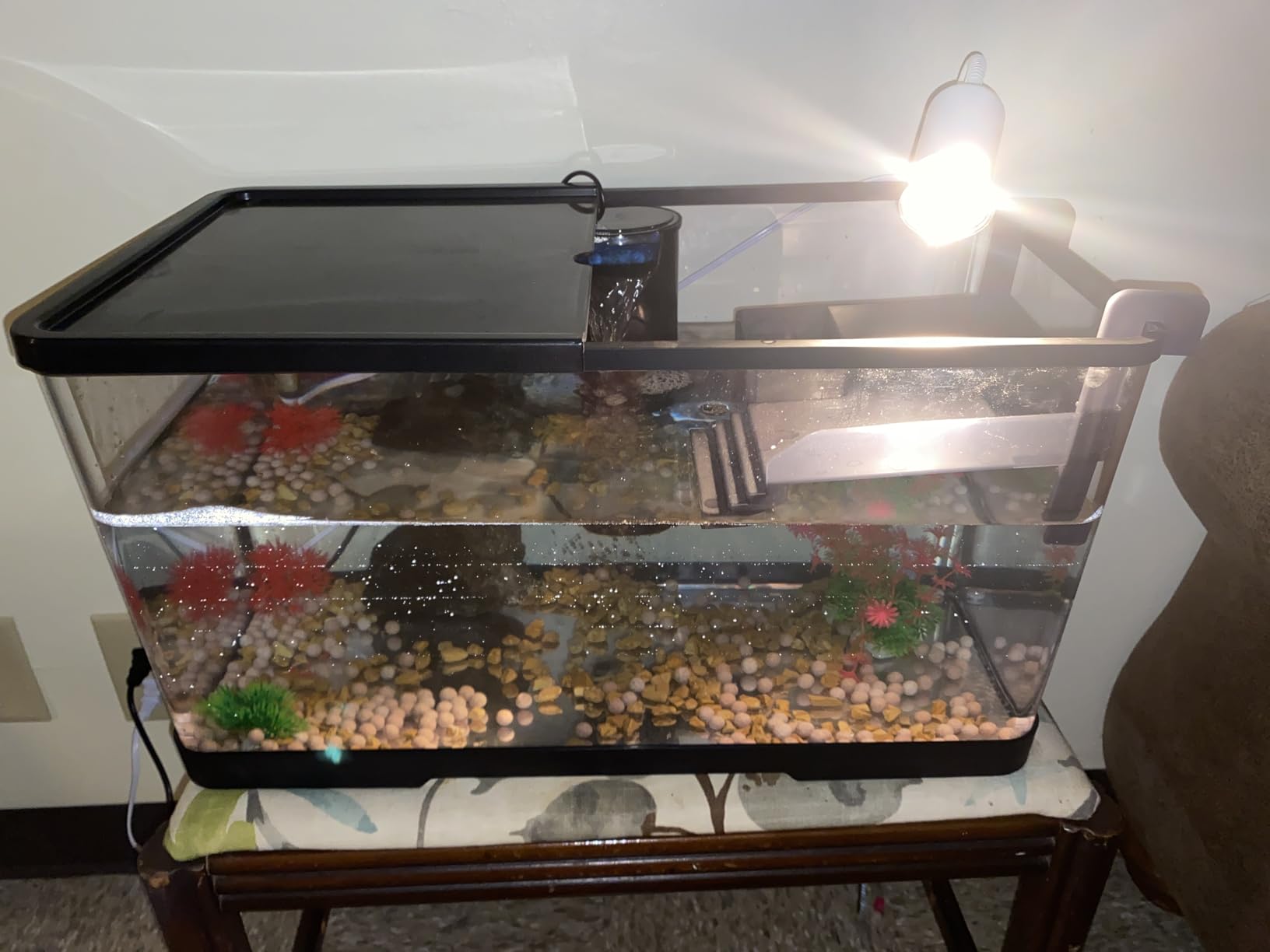 (Tank + Light + Filter + Filter Balls) Turtle Tank Kit, Turtle Tank Starter Kit, Bottom Drainage, Multi-Function Areas for Turtles, Crabs, Fishes, Amphibians, Reptiles. (15.75 x 8.64 x 8.64 Inch) customer photo 2