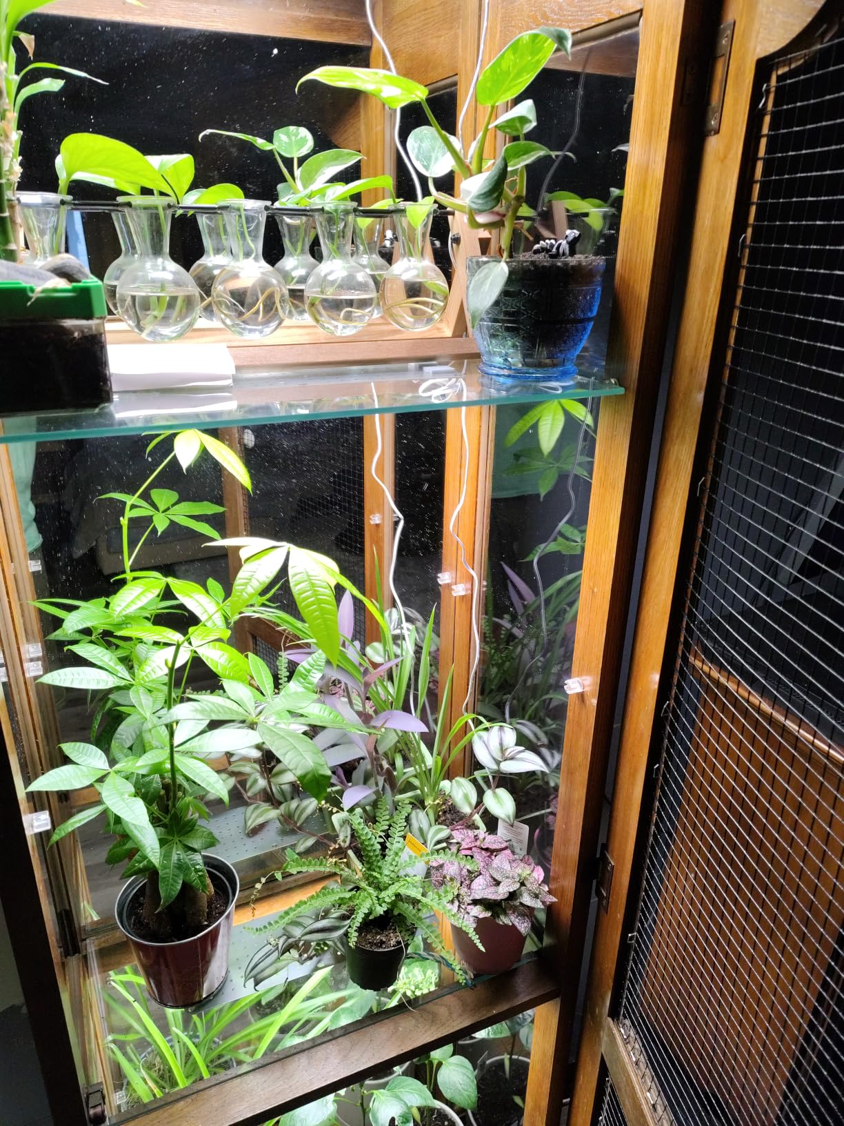 4-Pack Panel Grow Lights for Indoor Plants, FECiDA 2026 LED Plant Grow Light for Under Cabinet Plants, Full Spectrum Growing Lamp with 4,8,12,16,20 Hr Timer, Free Linking customer photo 2