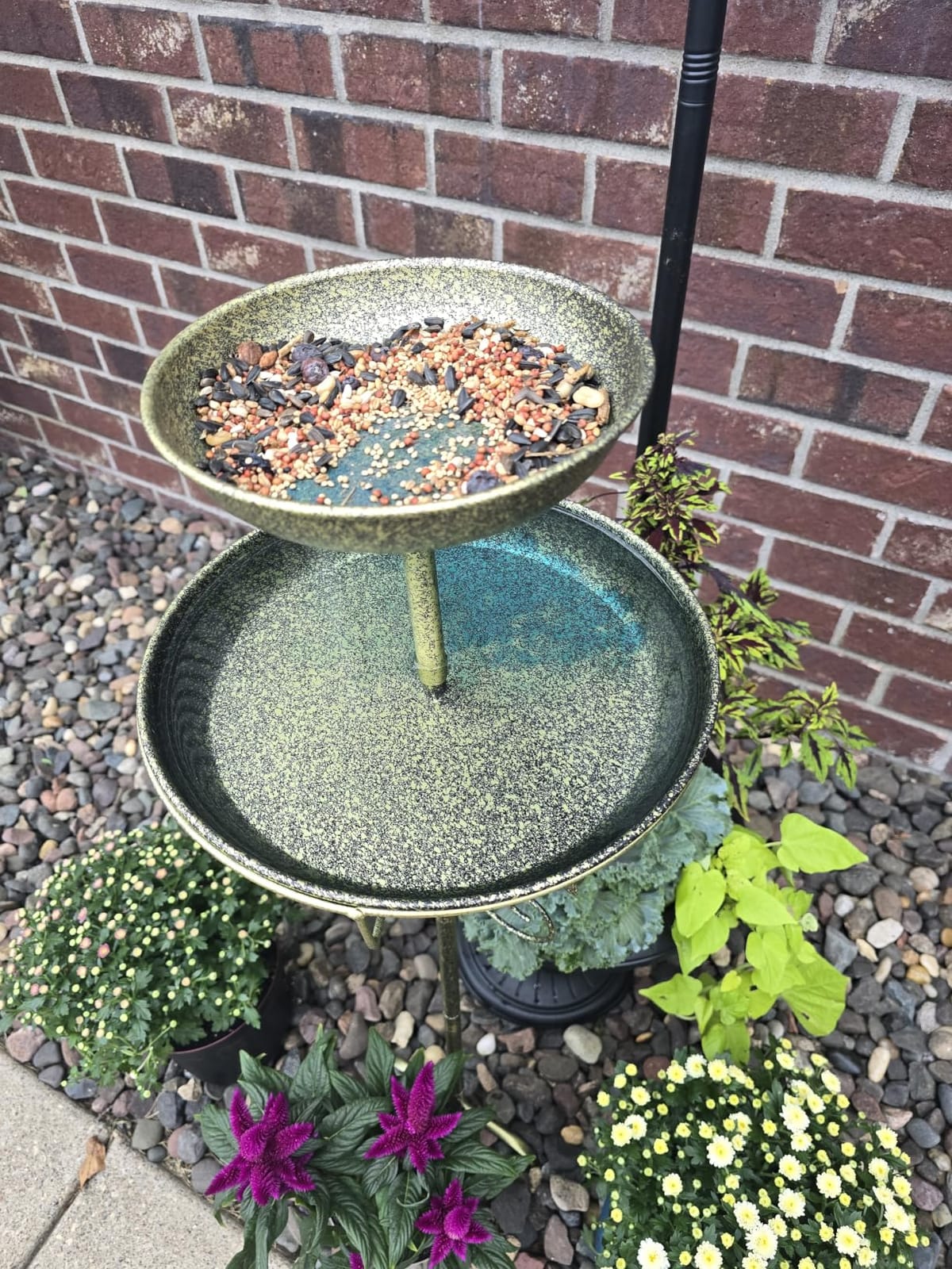 Daoeny Bird Bath for Outside, 42In Vintage Freestanding Birdbaths for Outdoors, Double Metal Bird Bath Feeder Bowls for Garden Patio Yard Lawn Decor, Upgraded 5-Pronged Base (Antique Bronze) customer photo 2