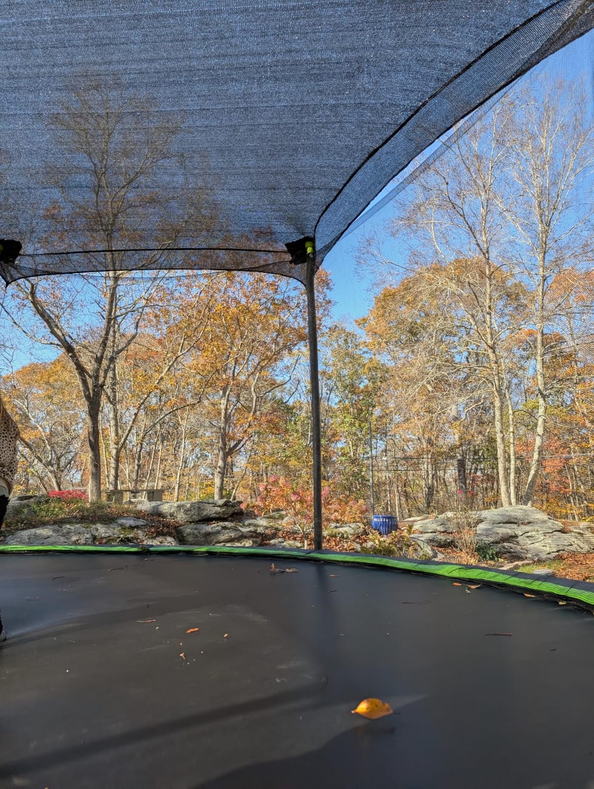 Trampoline Shade Cover 14FT 6Poles for Straight Pole Trampoline | Heavy Duty Trampoline Cover 14FT, Outdoor Sun Protection Sun Shade and Block Leaves, Full Coverage Trampoline Top Cover customer photo 2