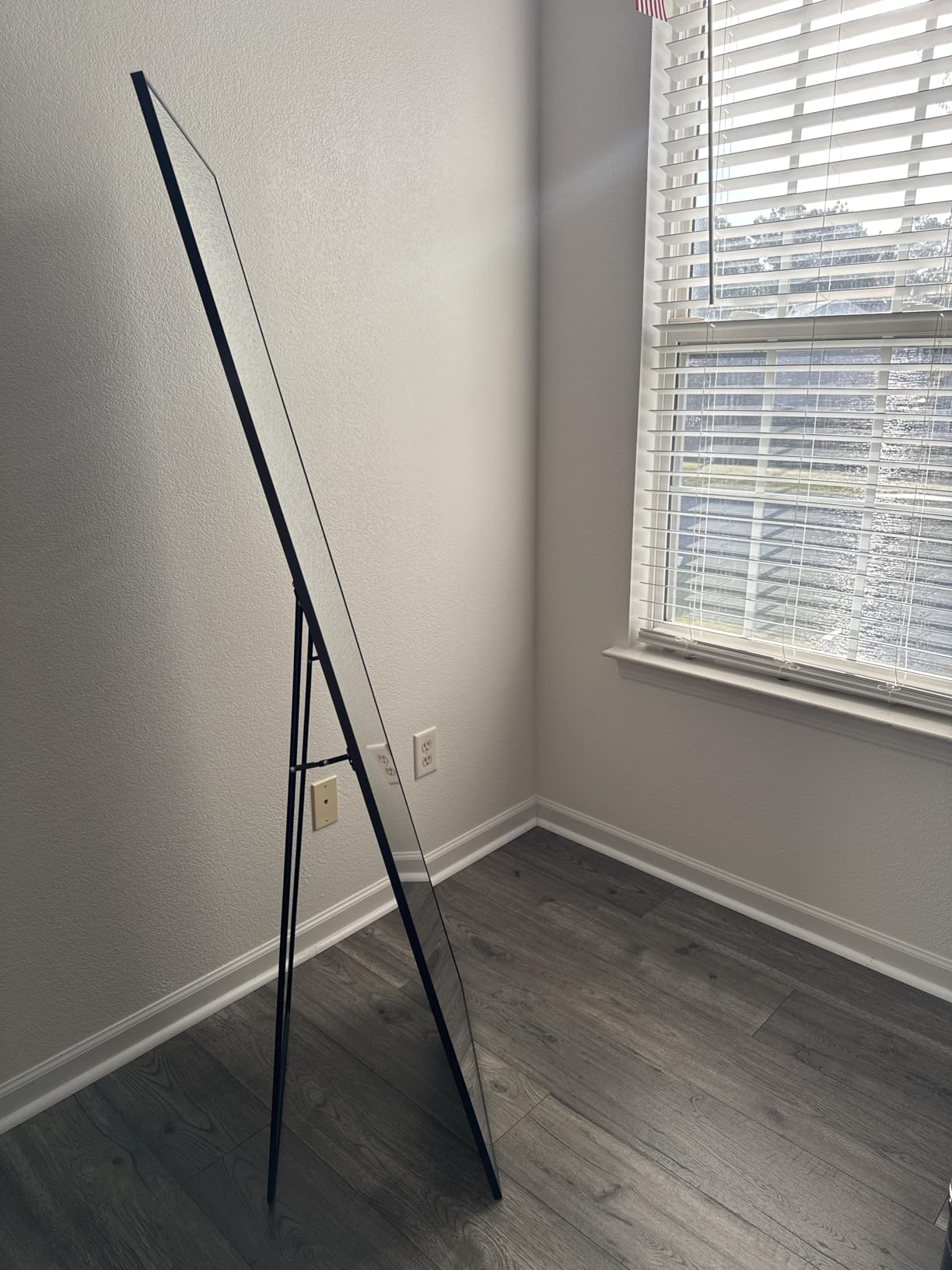 Amazon Basics Full Length Floor Mirror, 64