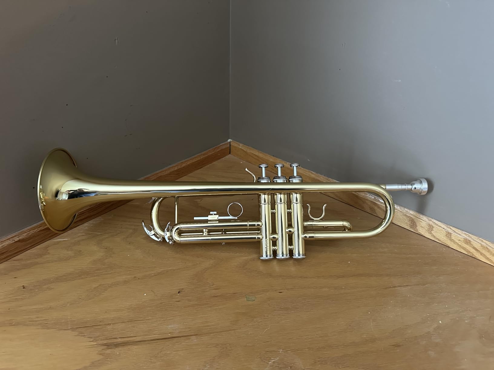 ALLSET Bb Standard Trumpet for Beginners | Student Band, Orchestra, Pro Level Performance | Professional Brass Trumpet Kit with Hard Case, 7C Mouthpiece& Cleaning Kit | Gold customer photo 1