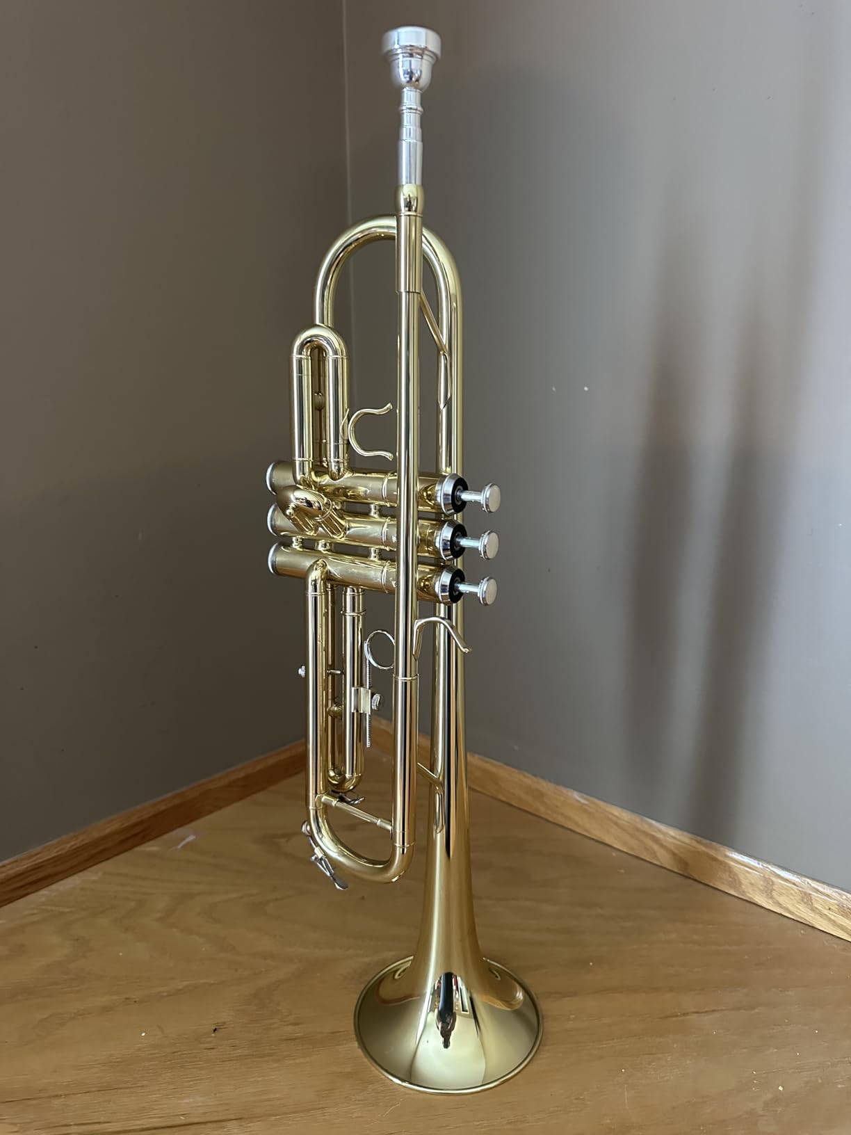 ALLSET Bb Standard Trumpet for Beginners | Student Band, Orchestra, Pro Level Performance | Professional Brass Trumpet Kit with Hard Case, 7C Mouthpiece& Cleaning Kit | Gold customer photo 2