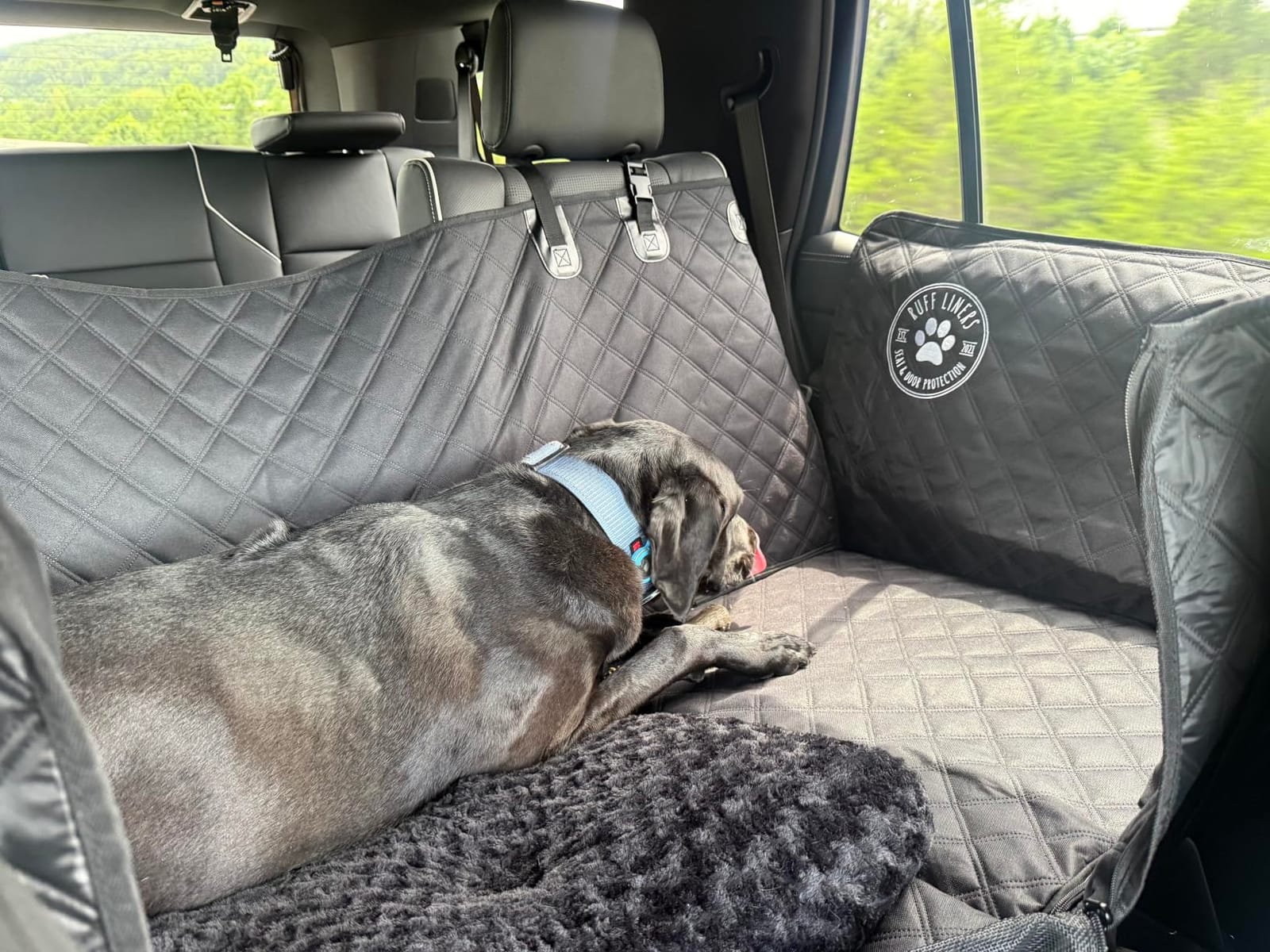 Ruff Liners XL Back Seat Extender for Dogs - As Seen on Shark Tank | Hard bottom adds 40% more space, holds up to 400 lbs, waterproof, machine-washable, heavy-duty Back Seat Cover for Dogs customer photo 1
