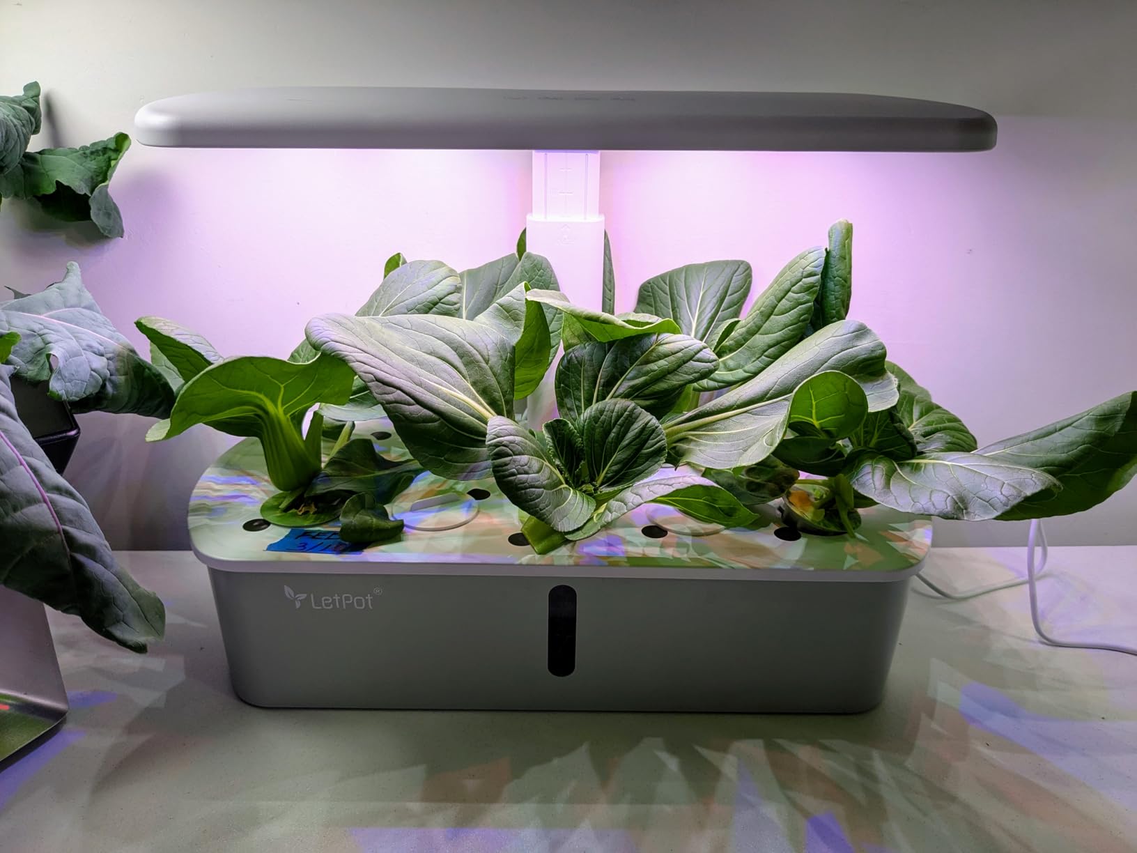 LETPOT LPH-Air Hydroponics Growing System Kits, APP & WiFi Controlled Smart Indoor Garden with 24W Grow Light Full Spectrum, 10 Pods Planter Indoor Gardening for Gifts, Kitchen, Vegetable (Black) customer photo 2