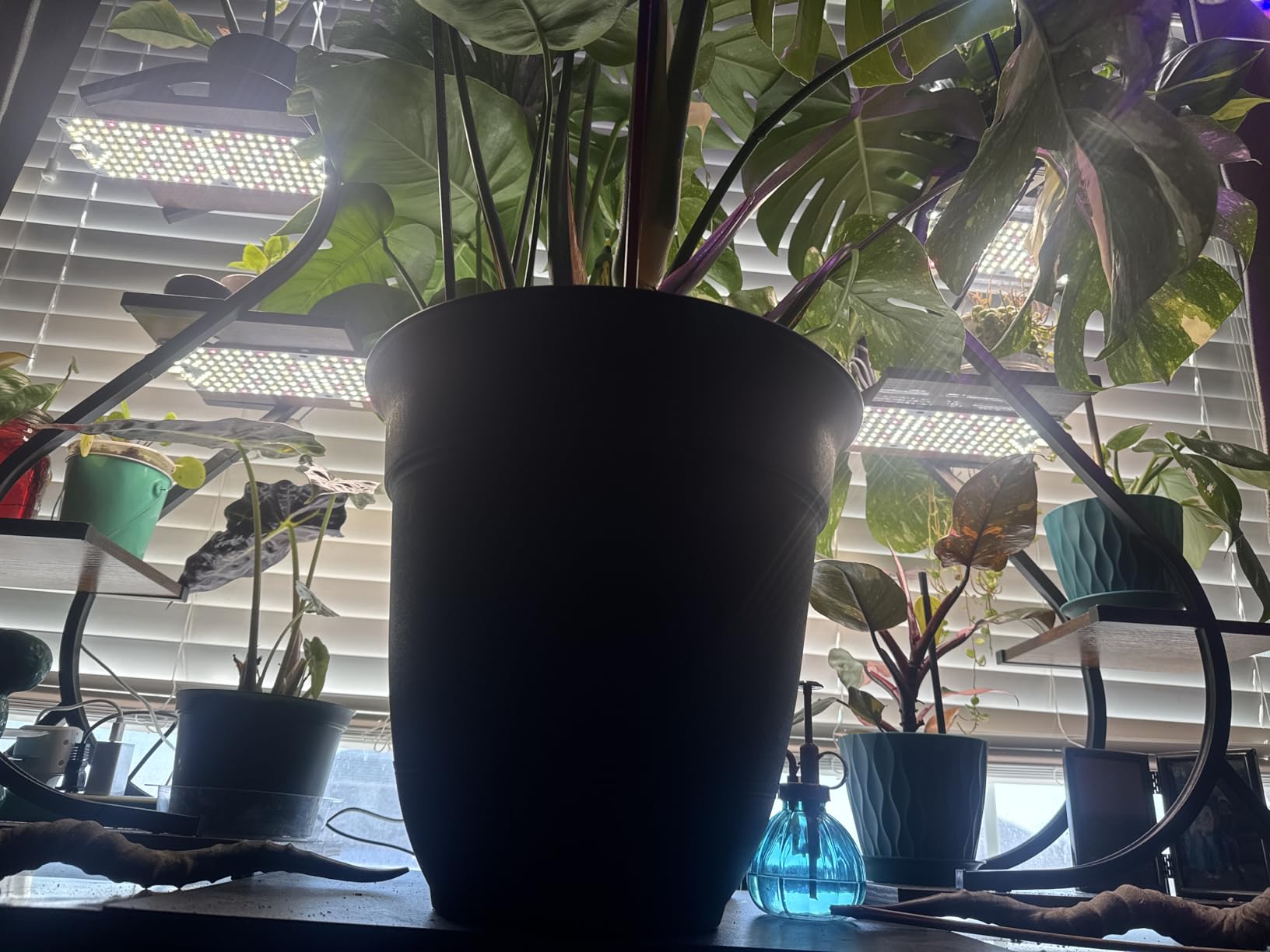SDOVUERC Full Spectrum 768 LEDs Grow Lights, Plant Grow Lights for Indoor Plants with Daisy Chain Function, Sunlike Spectrum,4/8/12/16/20H Timer for Seed Starting(Pack4) customer photo 1