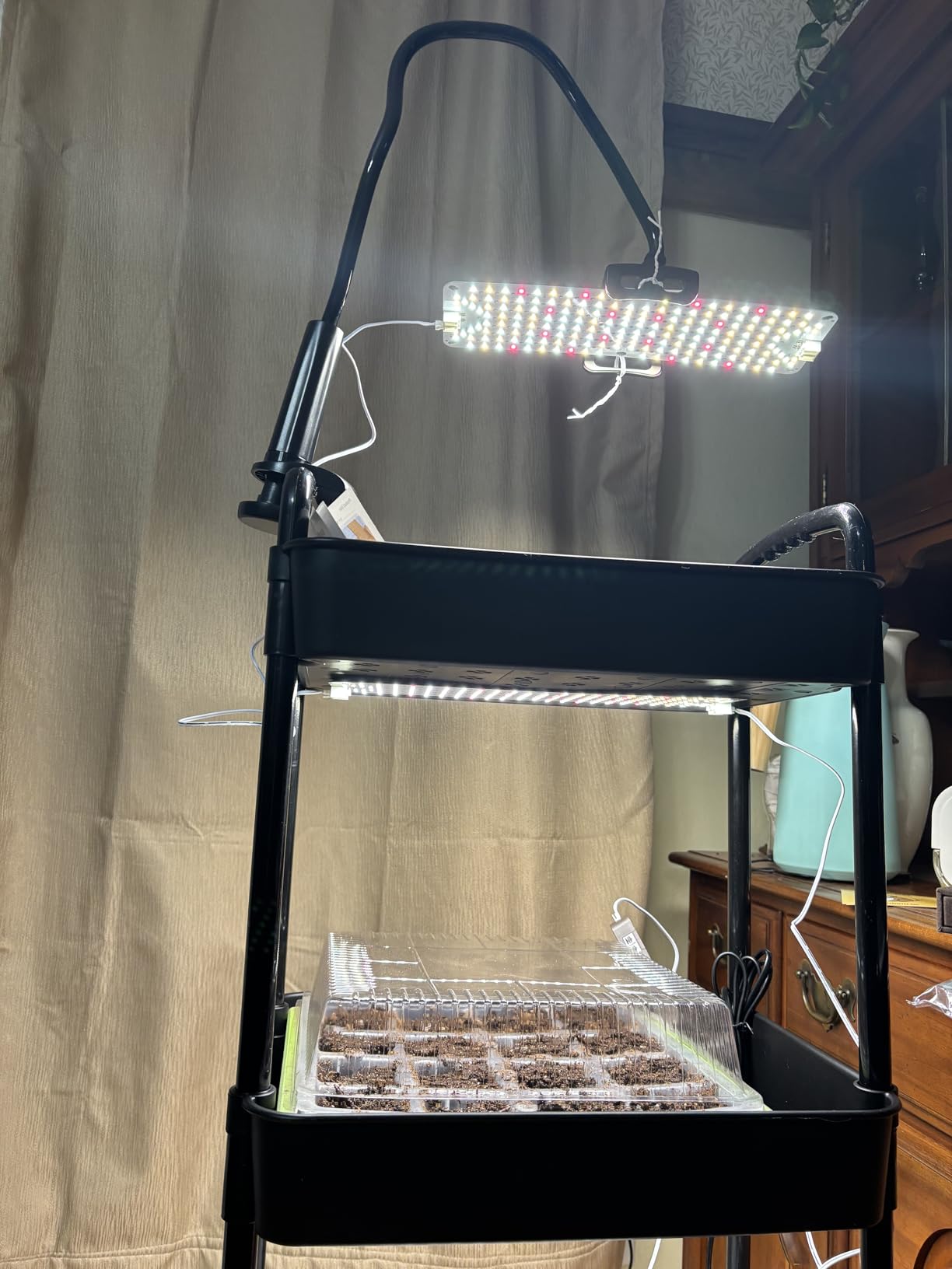 SDOVUERC Full Spectrum 768 LEDs Grow Lights, Plant Grow Lights for Indoor Plants with Daisy Chain Function, Sunlike Spectrum,4/8/12/16/20H Timer for Seed Starting(Pack4) customer photo 2
