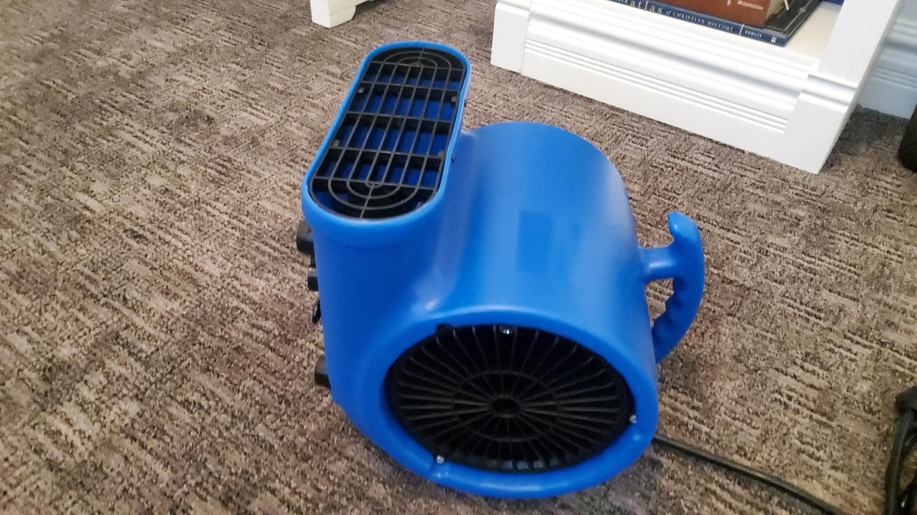 Air Mover Blower Fan, Industrial 1/3HP 1200CFM Monster Floor Blower Carpet Dryers - 3 Speeds Switch, 4 Adjustable Angles, 15FT Long Cord, Stackable - 2026 Upgraded customer photo 1