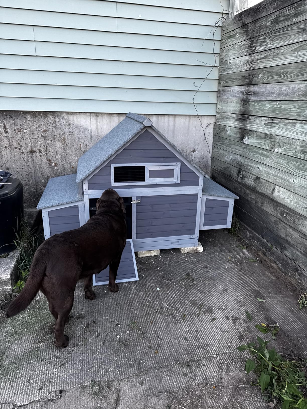 GUTINNEEN Chicken Coop with Super Large Wheels for 8-10 Chickens Mobile Duck House 68.1