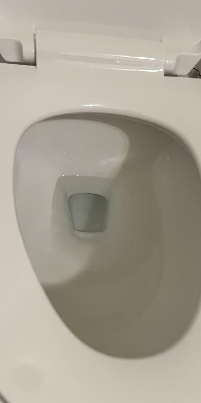 Elongated One Piece Toilet with 17.3
