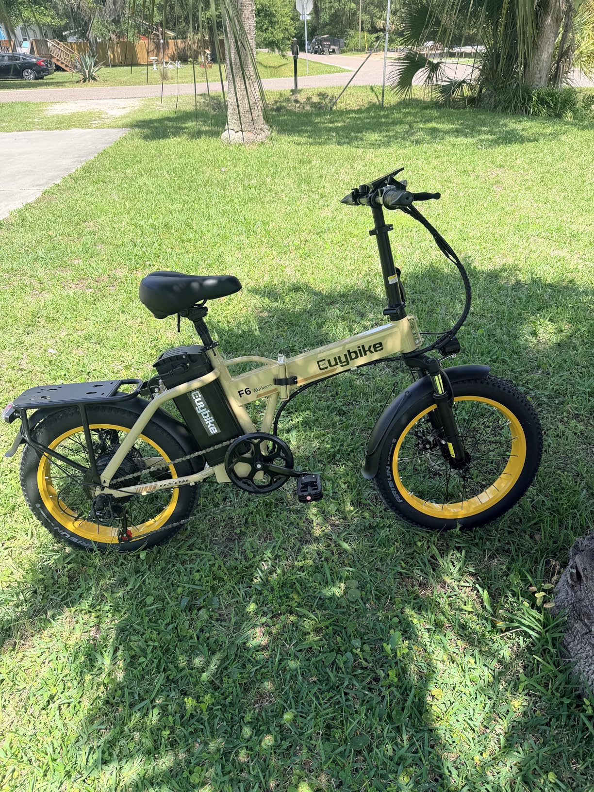 Foldable Electric Bike for Adults, 48V 20Ah Removable Lithium Battery up to 80Miles, 20