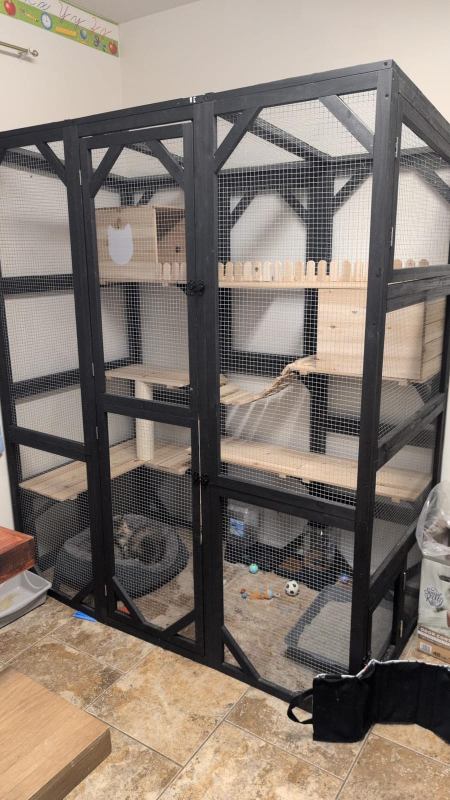 Catio Enclosure Outdoor Wooden Cat House for Multiple Cats Walk in Cage Window Access with Sunlight Friendly Weather-Proof PVC Roof customer photo 1