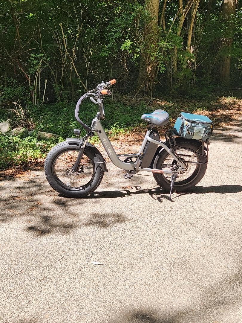 EUY Electric Bike for Adults with Peak 1500W Motor, 48V 20Ah Removable Battery Fast Ebike,Max 70Miles,20