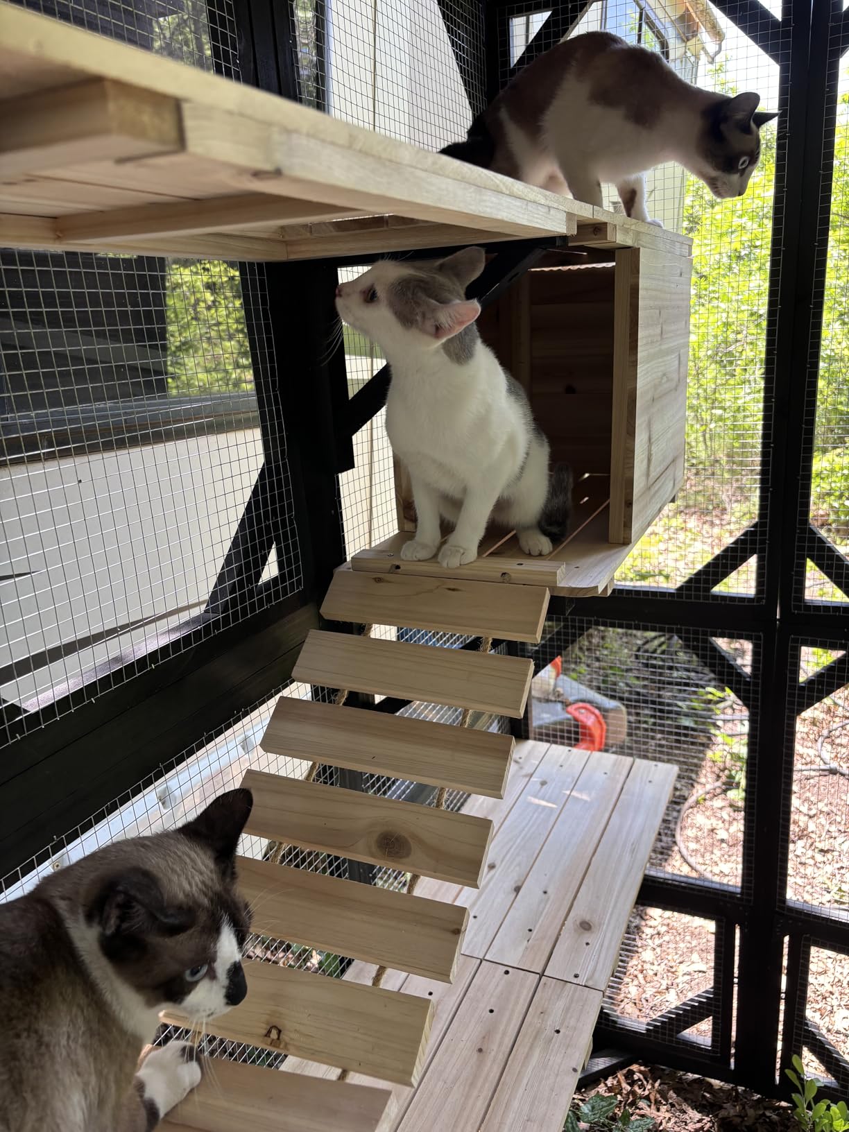 Catio Outdoor Cat Enclosure Window Access Walk-in Indoor Cat Cage Patio 71