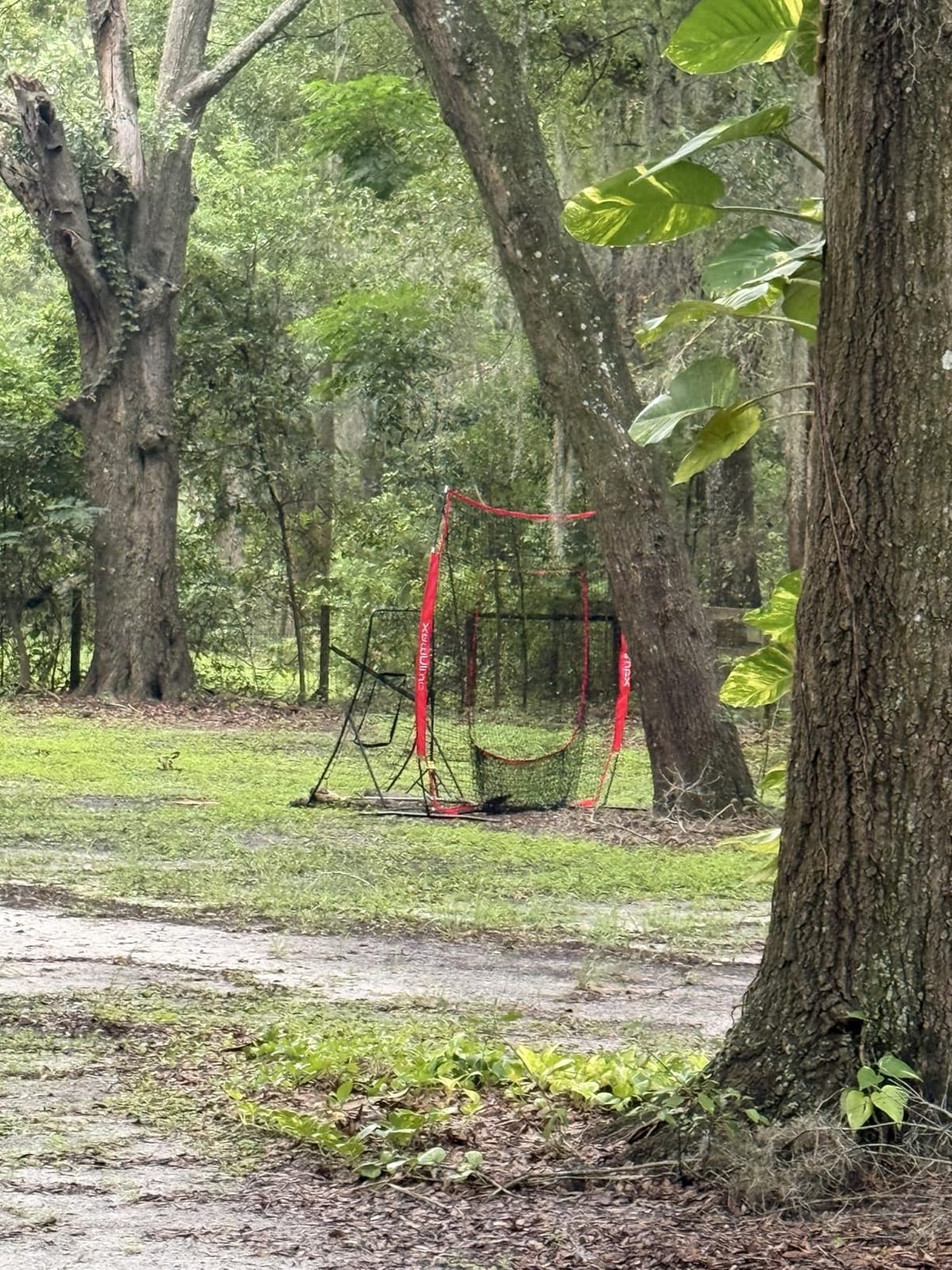7x7 ft Baseball Softball Practice Net with The Detachable Bow Frame for Batting, Hitting, Pitching, Portable Baseball Practice Net with Carry Bag, Great for All Levels customer photo 2