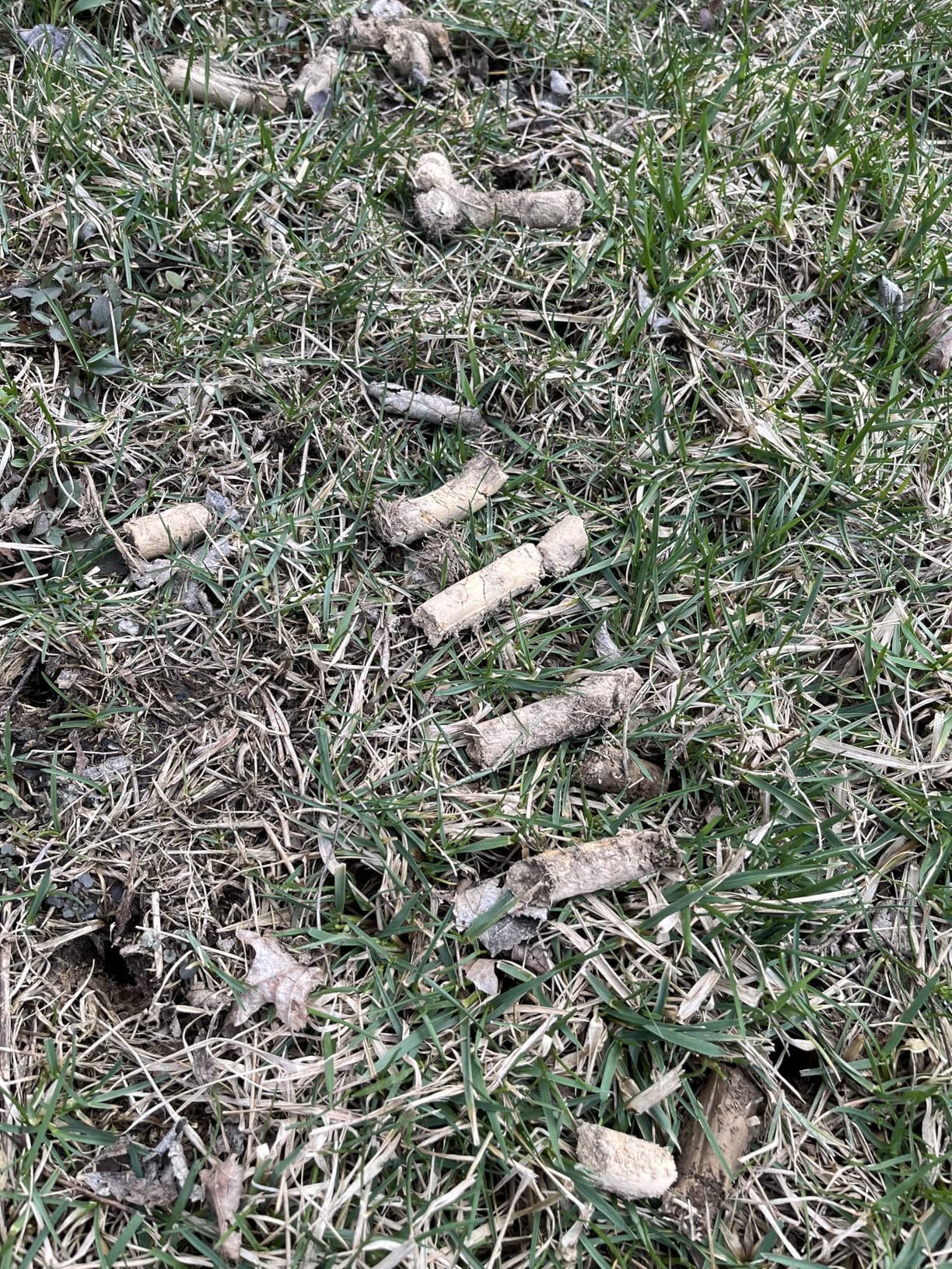 Lawn Aerator Tool, Core Aerator Lawn Tool with Alloy Steel Material, Sturdy Grass Aerator for Lawn Health Soil Yard Aerator customer photo 2