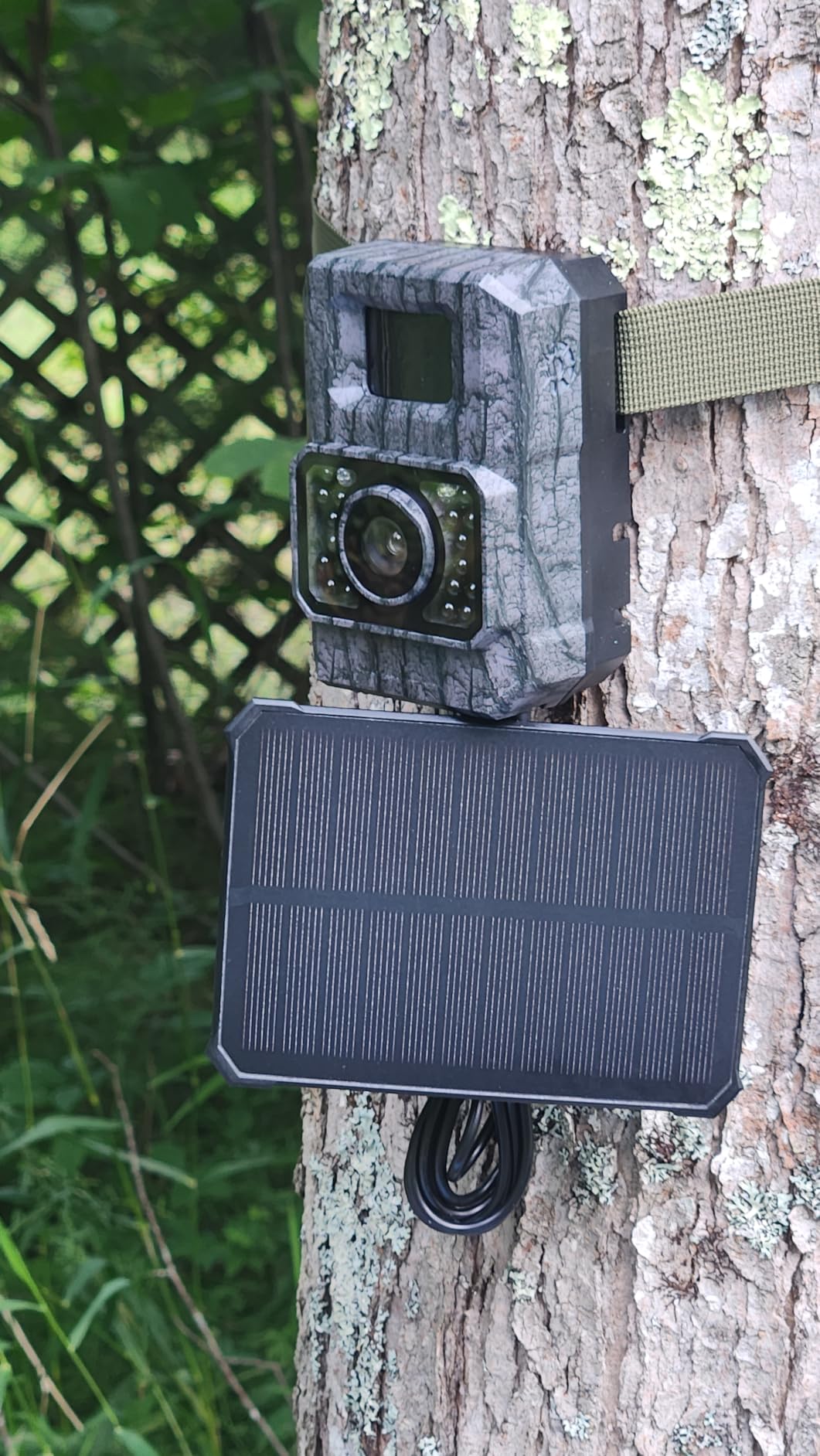 MAXDONE Solar Trail Camera, 4K 64MP WiFi Bluetooth Night Vision Game Camera | Trail Cam with Night Vision Motion Activated, 6000mAh Power & 32GB Included, Deer Cameras for Outdoor Backyard IP66 customer photo 2