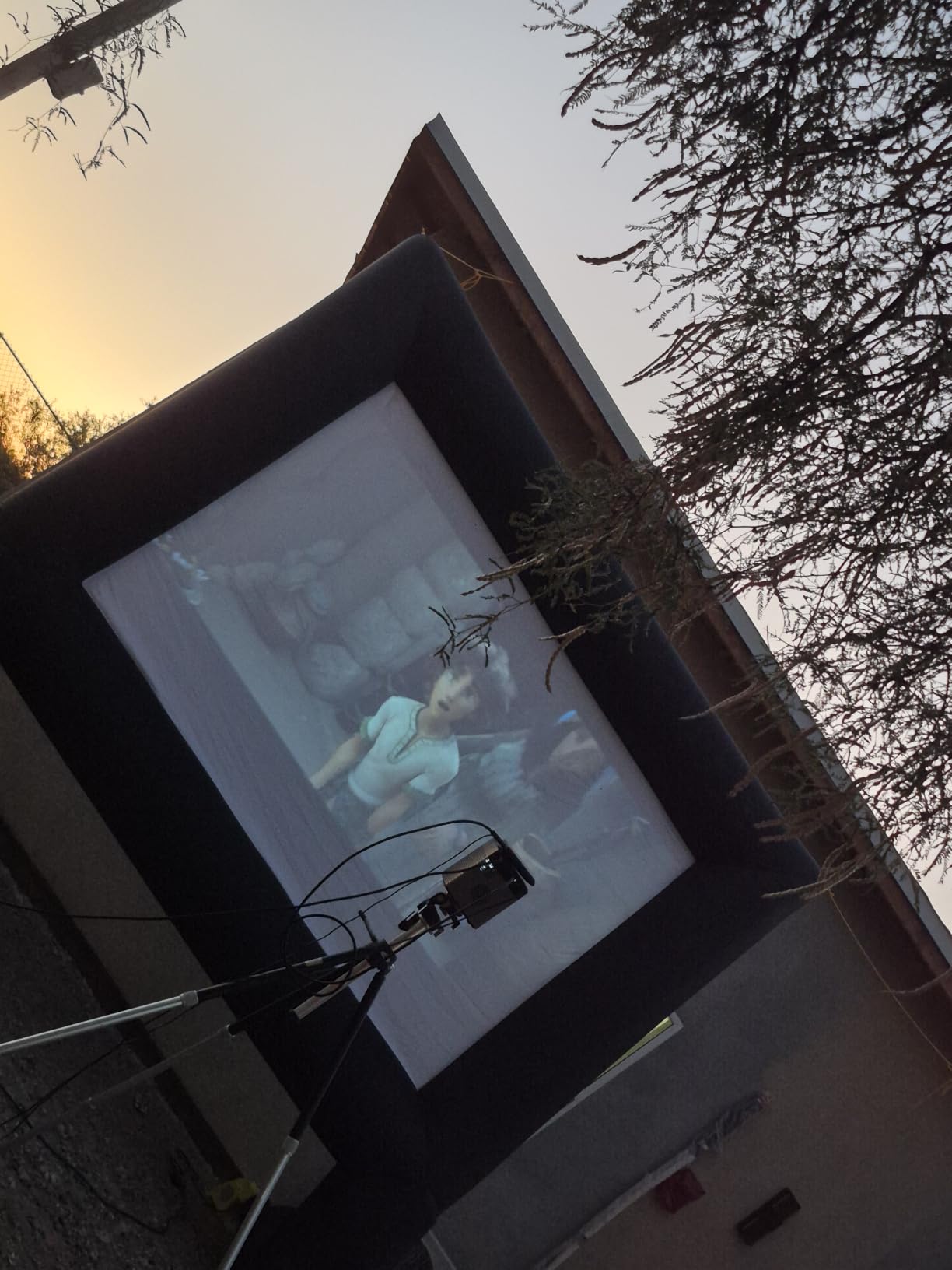 Estgora 14FT Inflatable Movie Screen Outdoor, Blow Up Projector Screen, Inflatable Movie Screen with Air Blower Front & Rear Projection Screens for Outdoor Movie Night Backyard Pool Fun customer photo 1