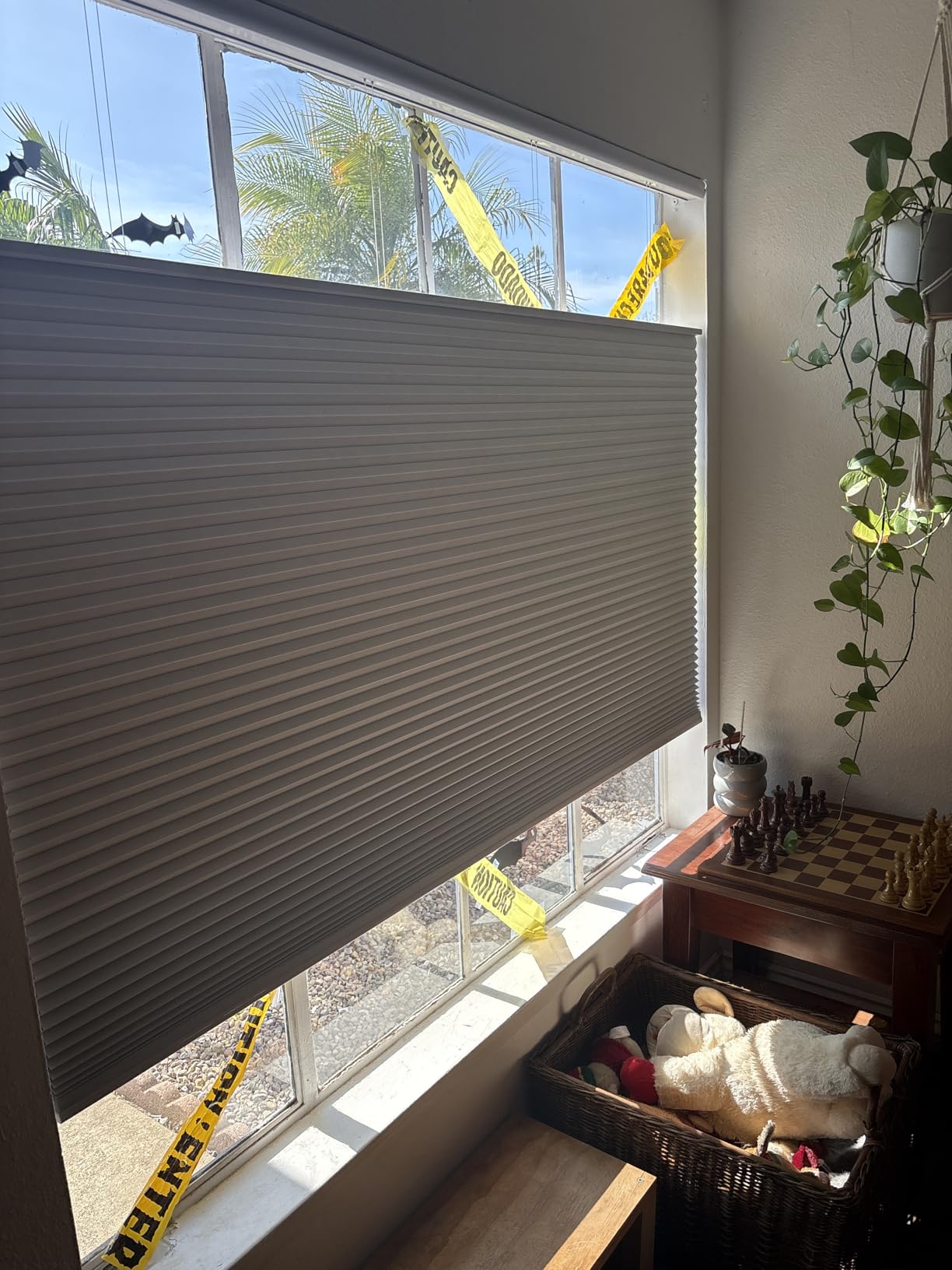 Motorized Cellular Shades with Cordless, Smart Electric Honeycomb Blind with Remote Control, Blackout or Light Filtering Fabric, Automatic Cellular Shades for Home and Office Indoor Window customer photo 2