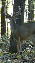 Moultrie Edge 3 Cellular Trail Camera - 2-Pack, 40MP, 0.5s Trigger | Scout from Anywhere, HD photos via Mobile app, 1080p video, multi-carrier, low-glow flash, GPS customer photo 1