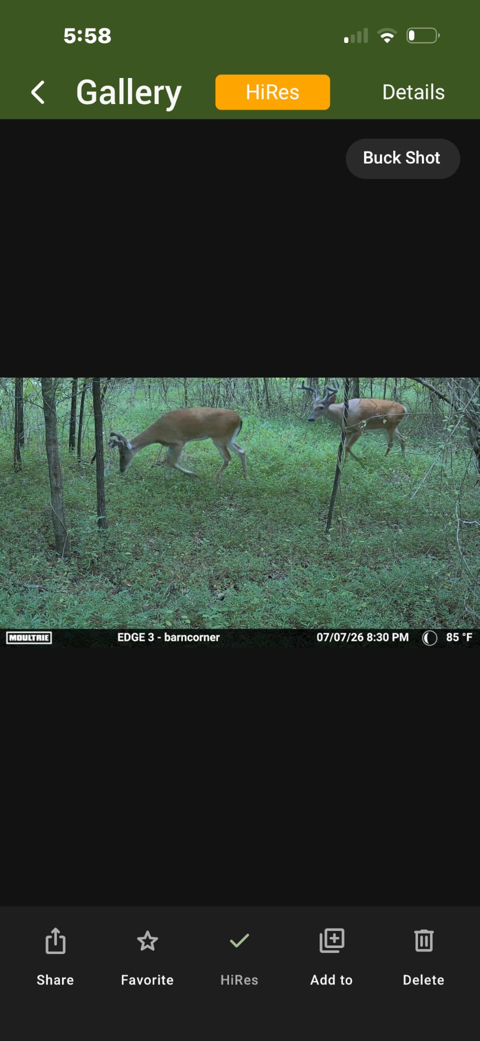 Moultrie Edge 3 Cellular Trail Camera - 2-Pack, 40MP, 0.5s Trigger | Scout from Anywhere, HD photos via Mobile app, 1080p video, multi-carrier, low-glow flash, GPS customer photo 2